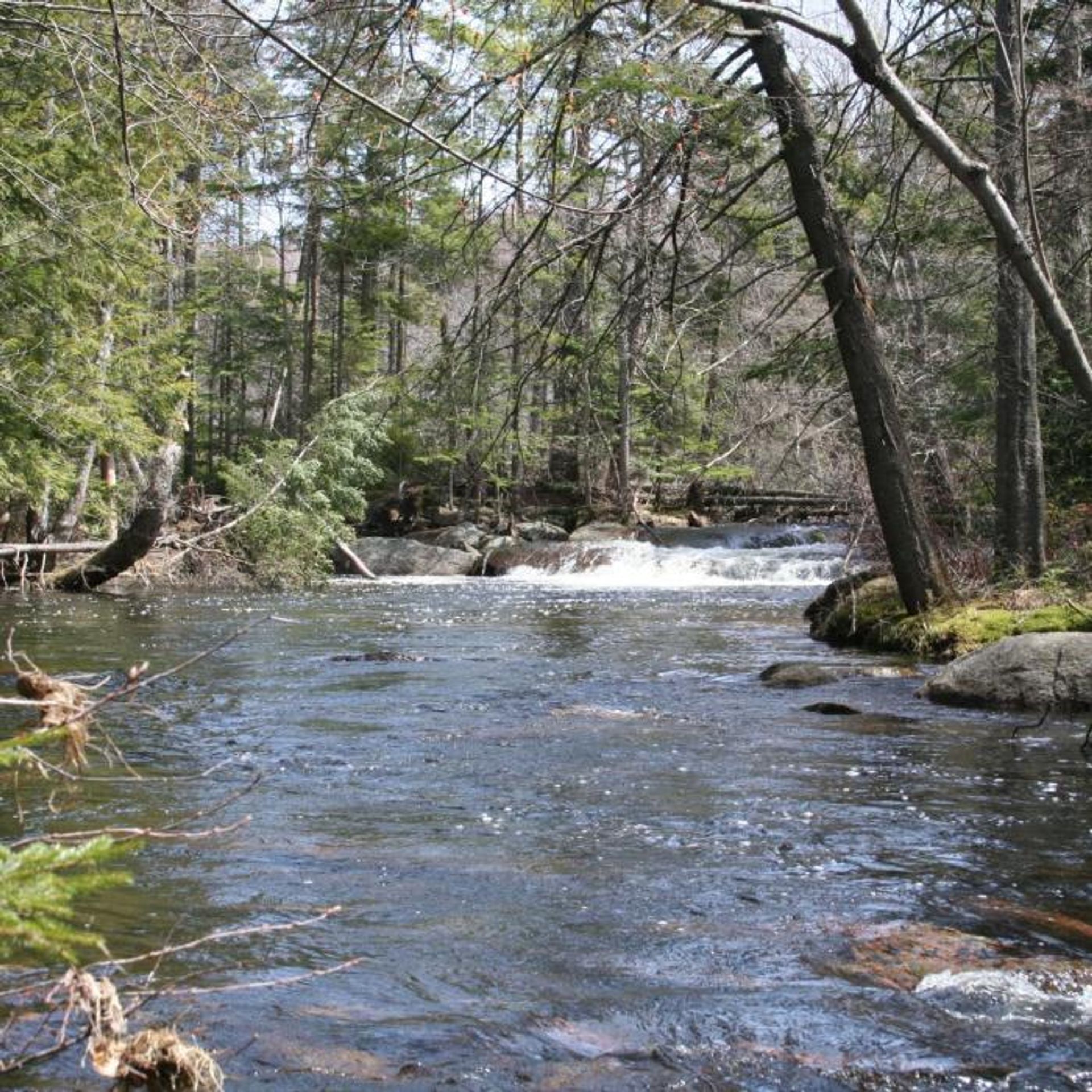 A view of the river flowing over rocks.