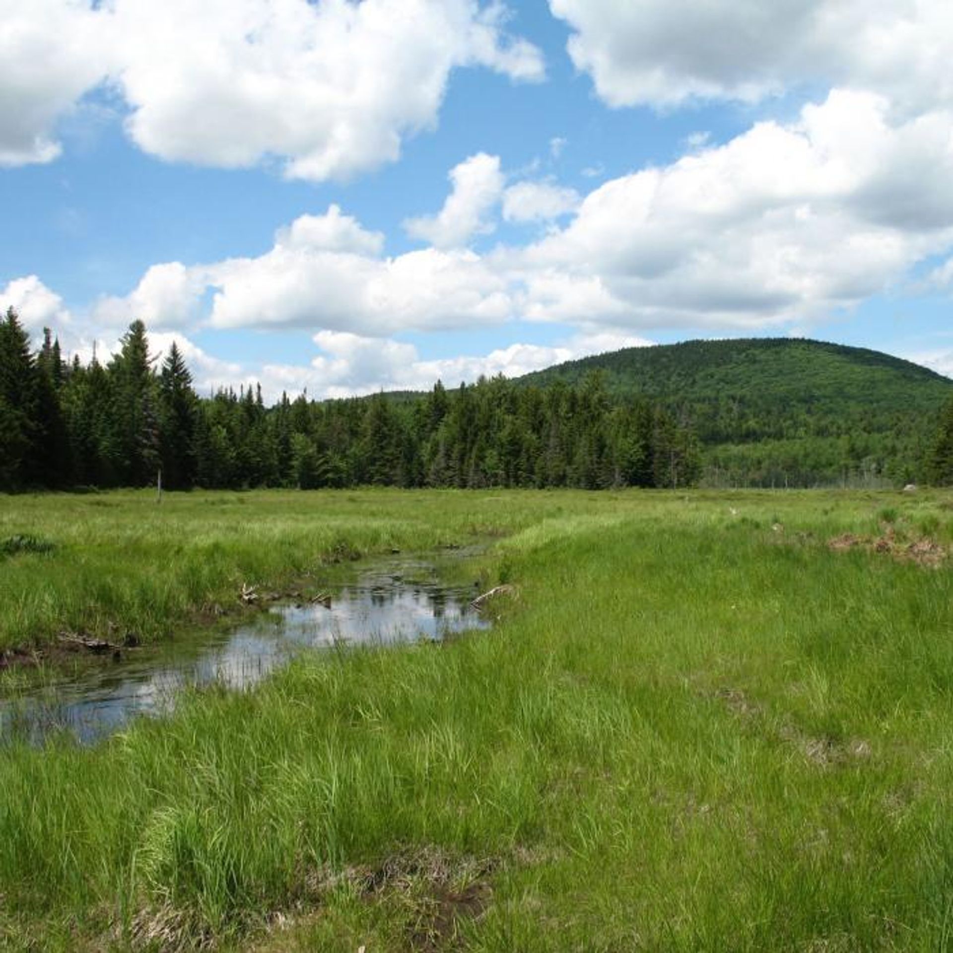 The river runs through a green meadow with hills beyond.