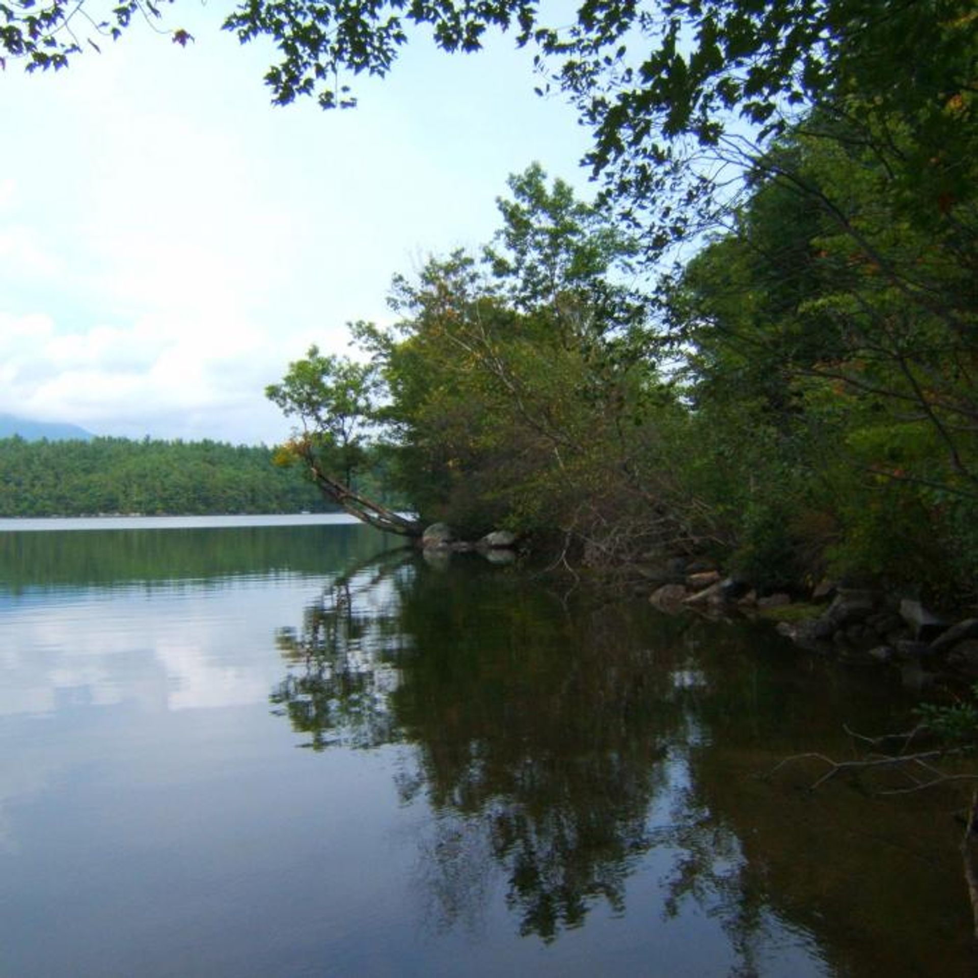 The water at Eagle Cliff Forest.