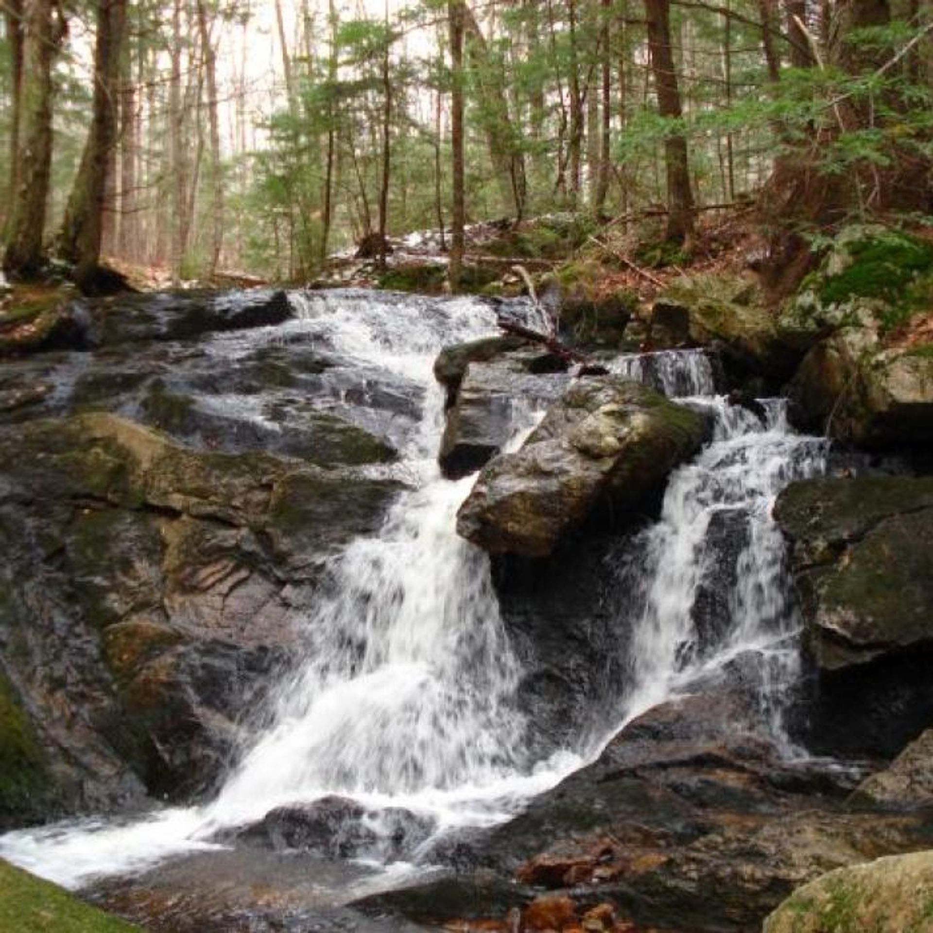 A waterfall at the forest reservation.