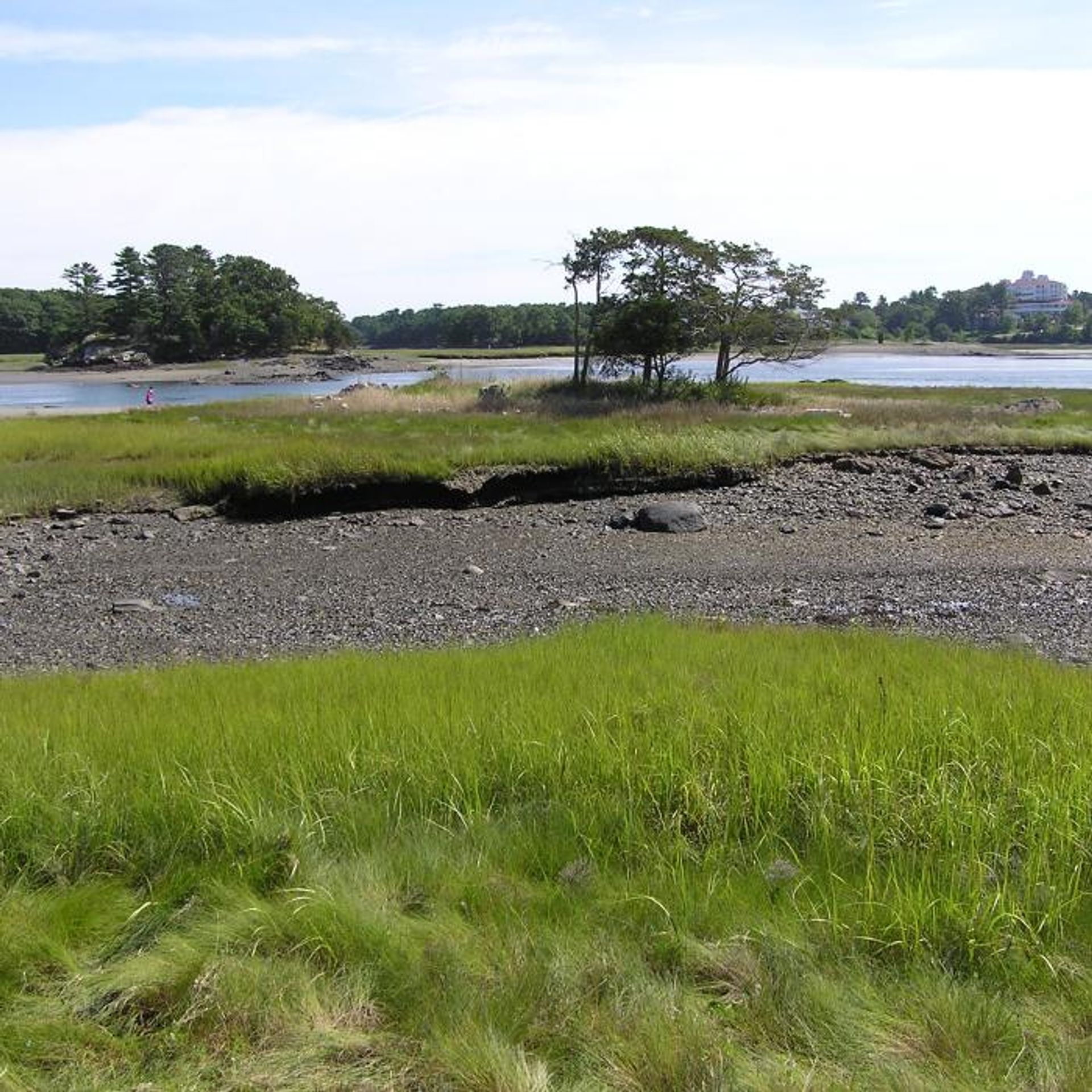 Low tide at Creek Farm with a view of Goose Island.