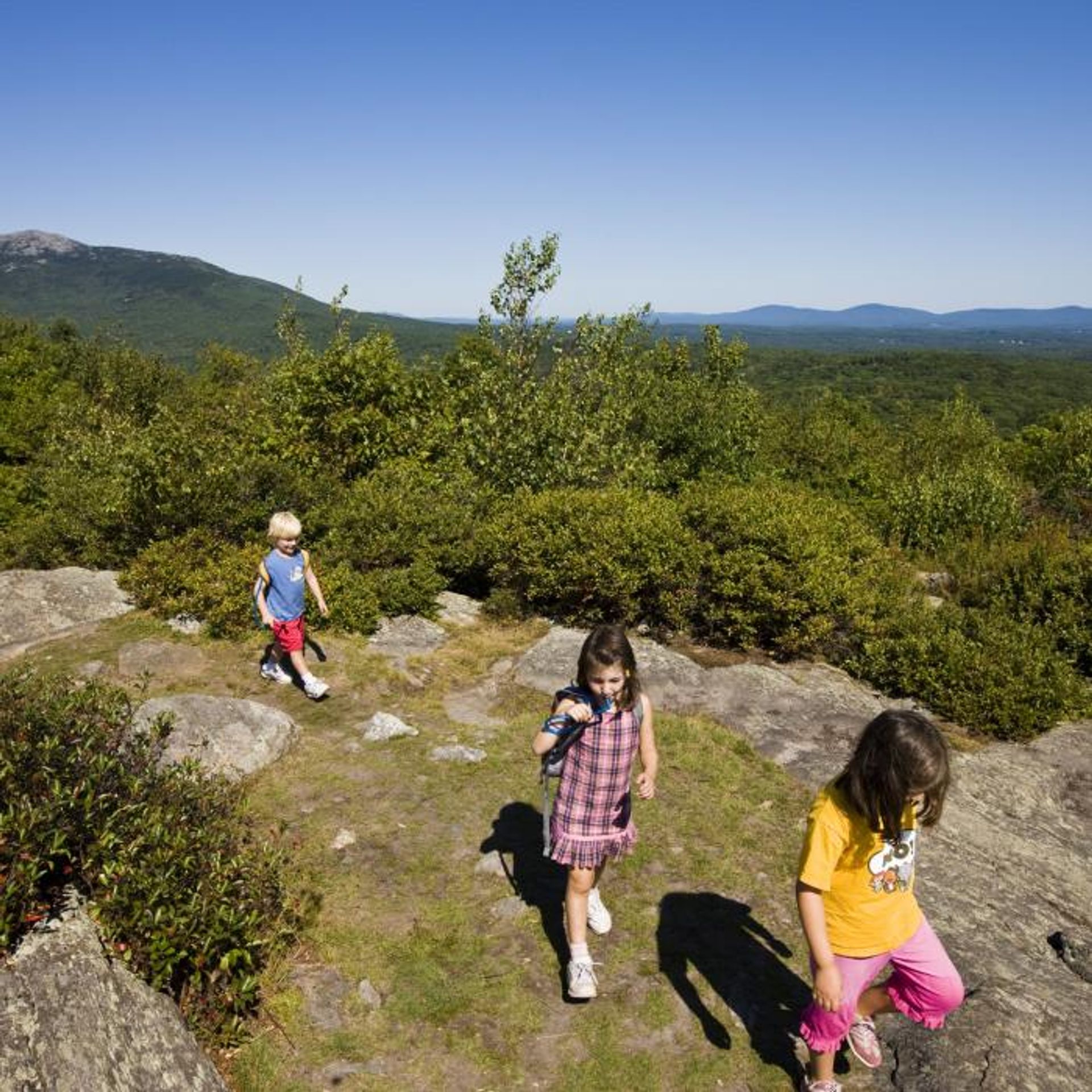 Children walk up Gap Mountain in the summer.