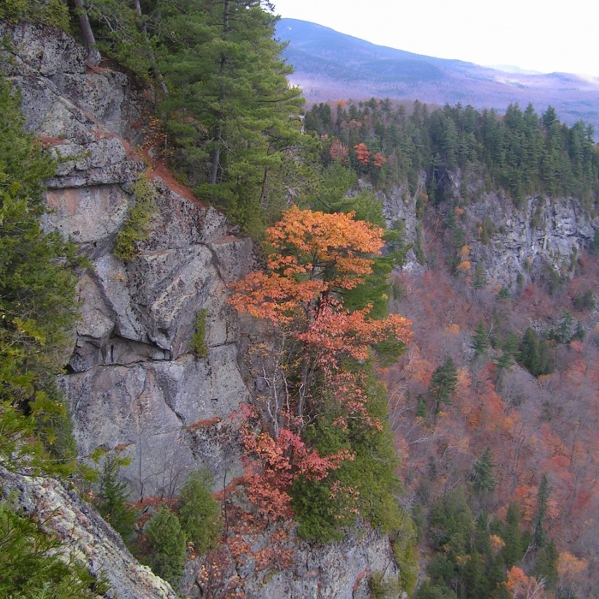 A steep granite cliff with a view of the forest in fall.