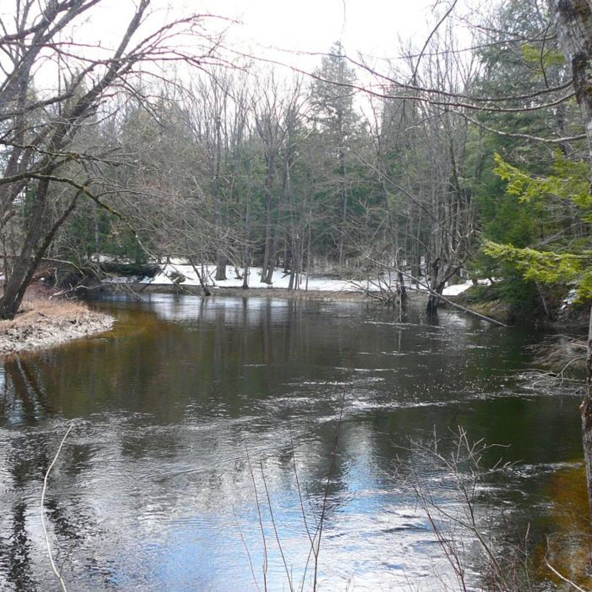 Water flows through McCabe Forest.