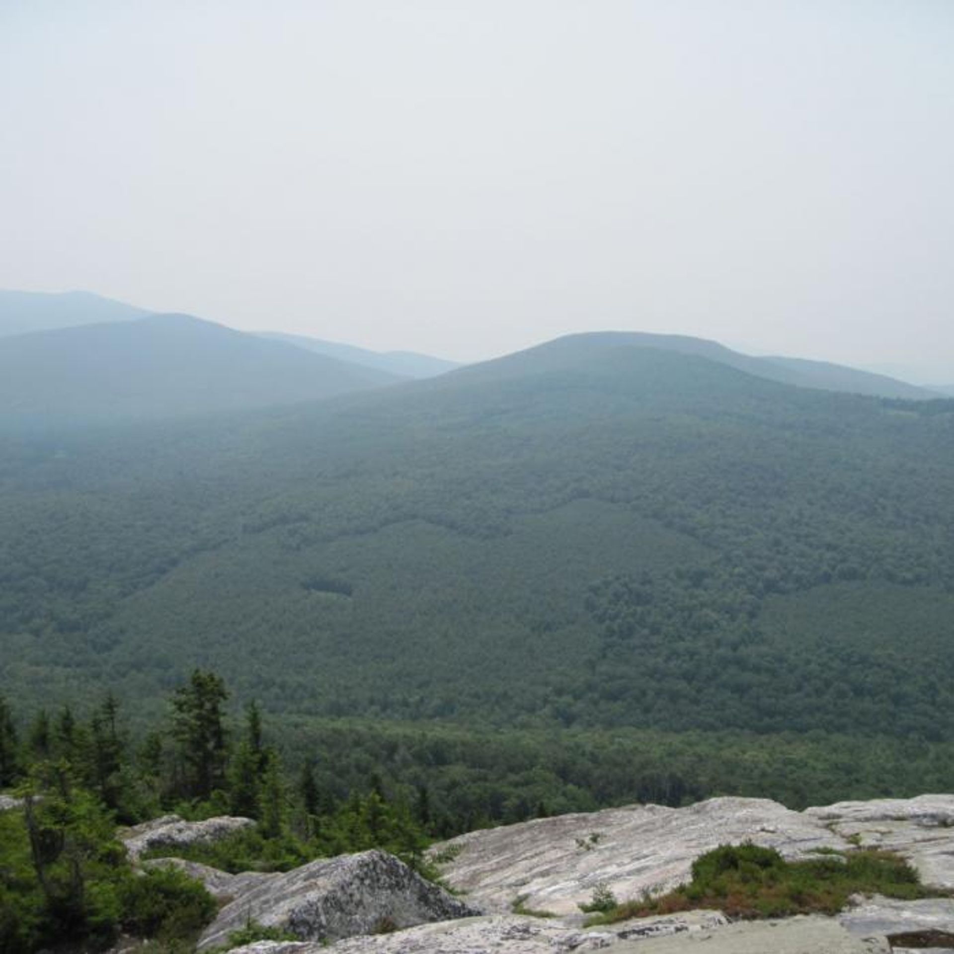 A green view of hills leading to mountains at McCabe Forest.