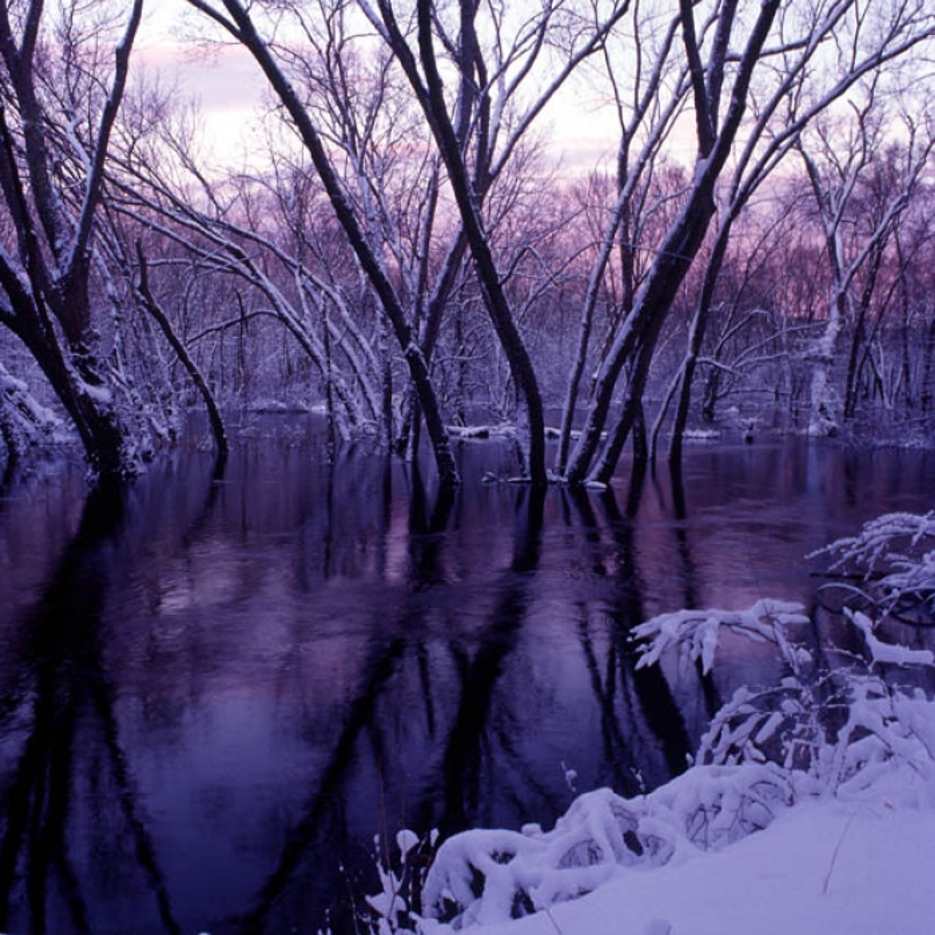 A sunset is reflected onto the water at McCabe Forest on a snowy day.