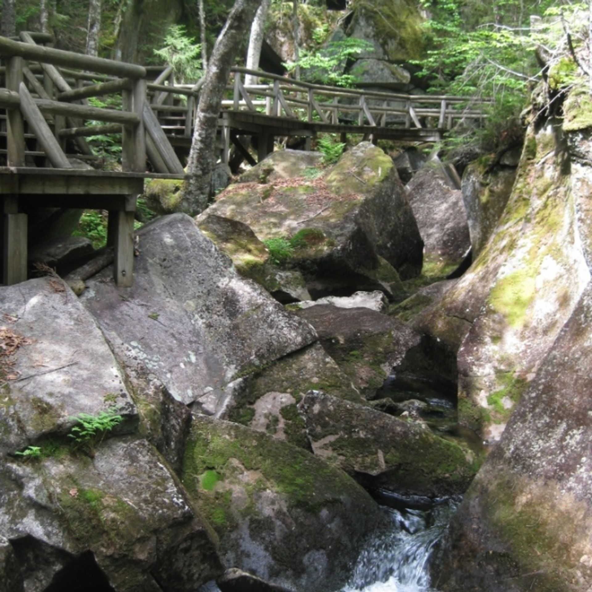 A bridge over a rocky gorge at Lost River Gorge & Boulder Caves.