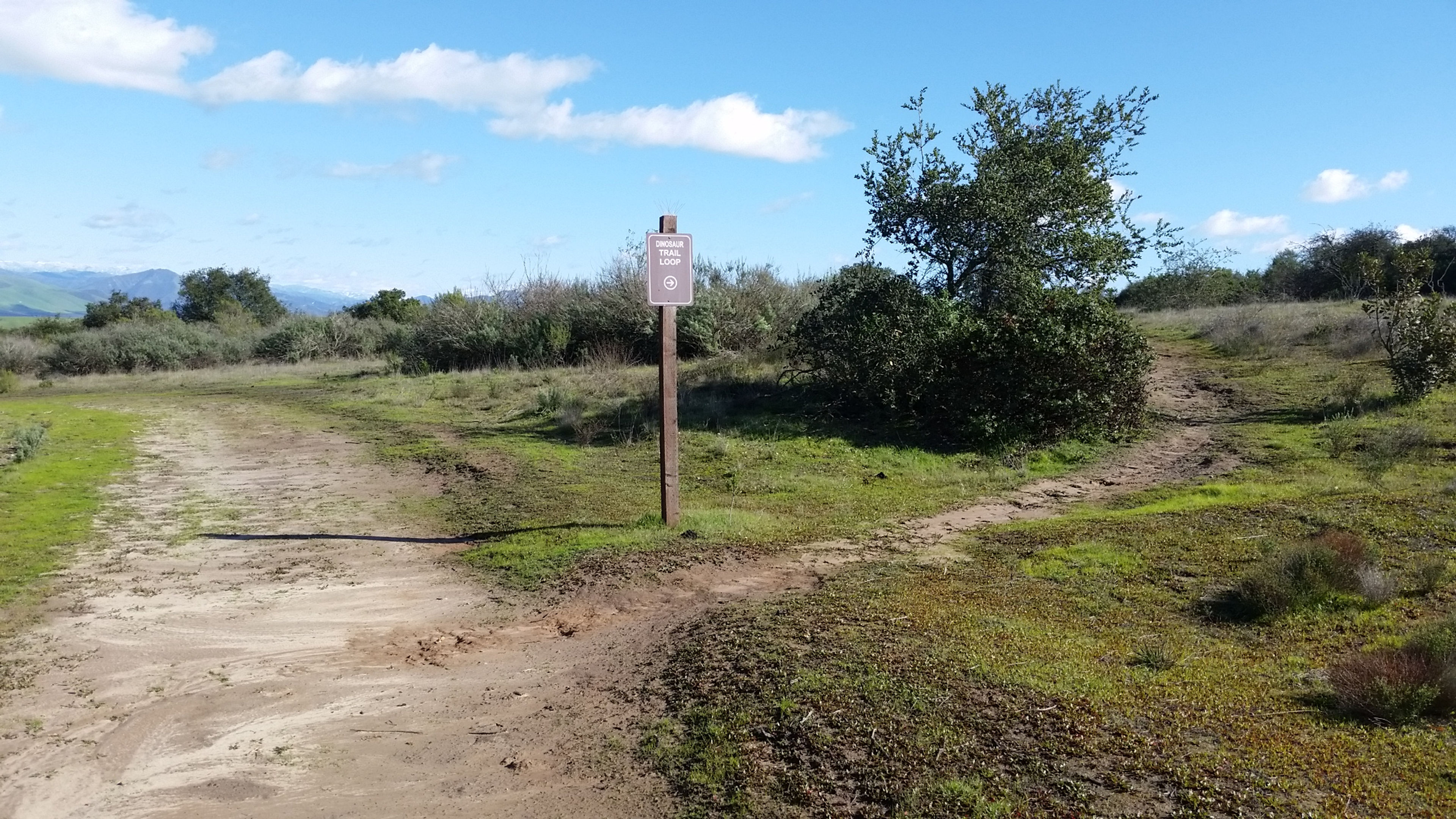 Dinosaur Loop trail head entrance