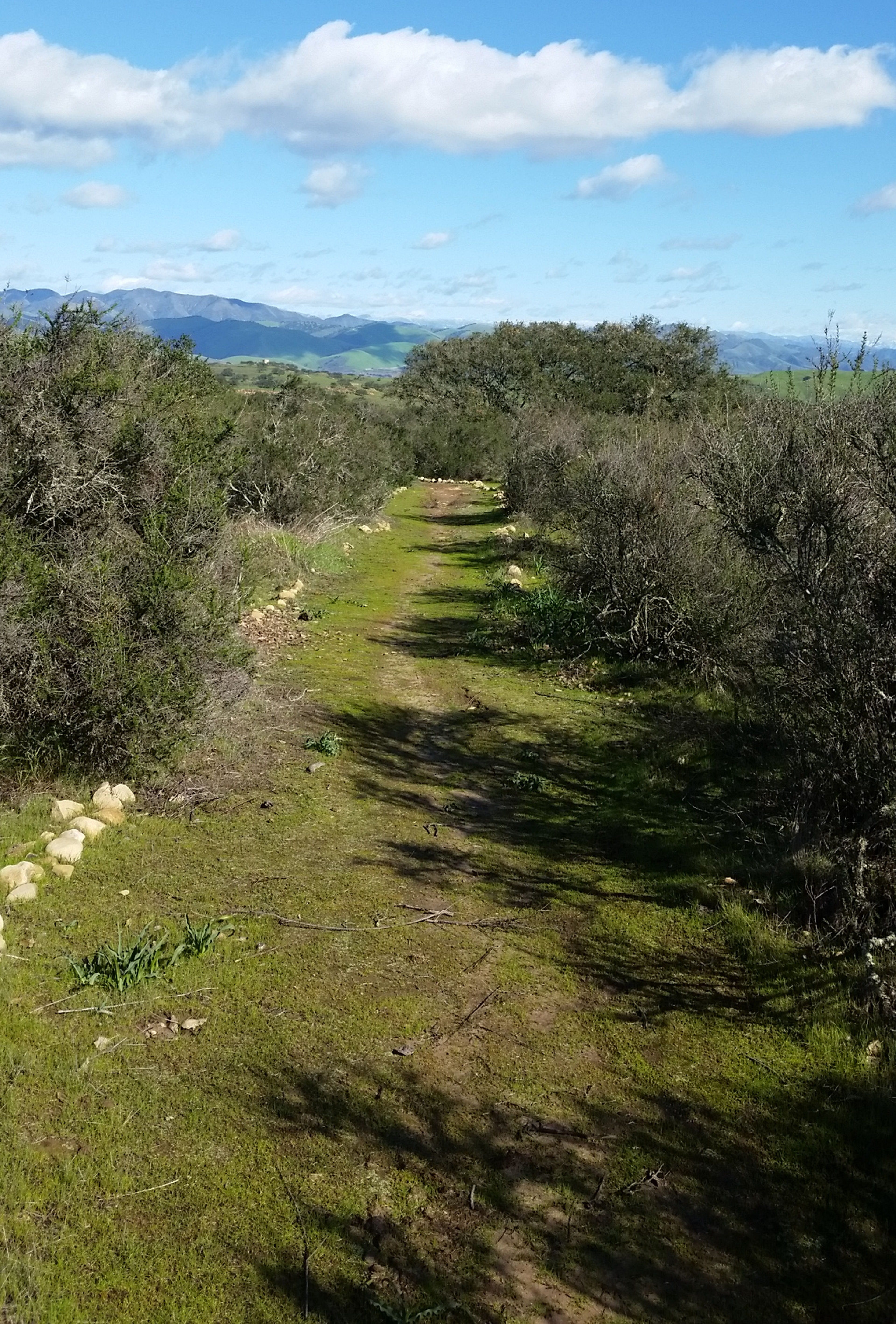 Dinosaur loop is a lovely family friendly trail.