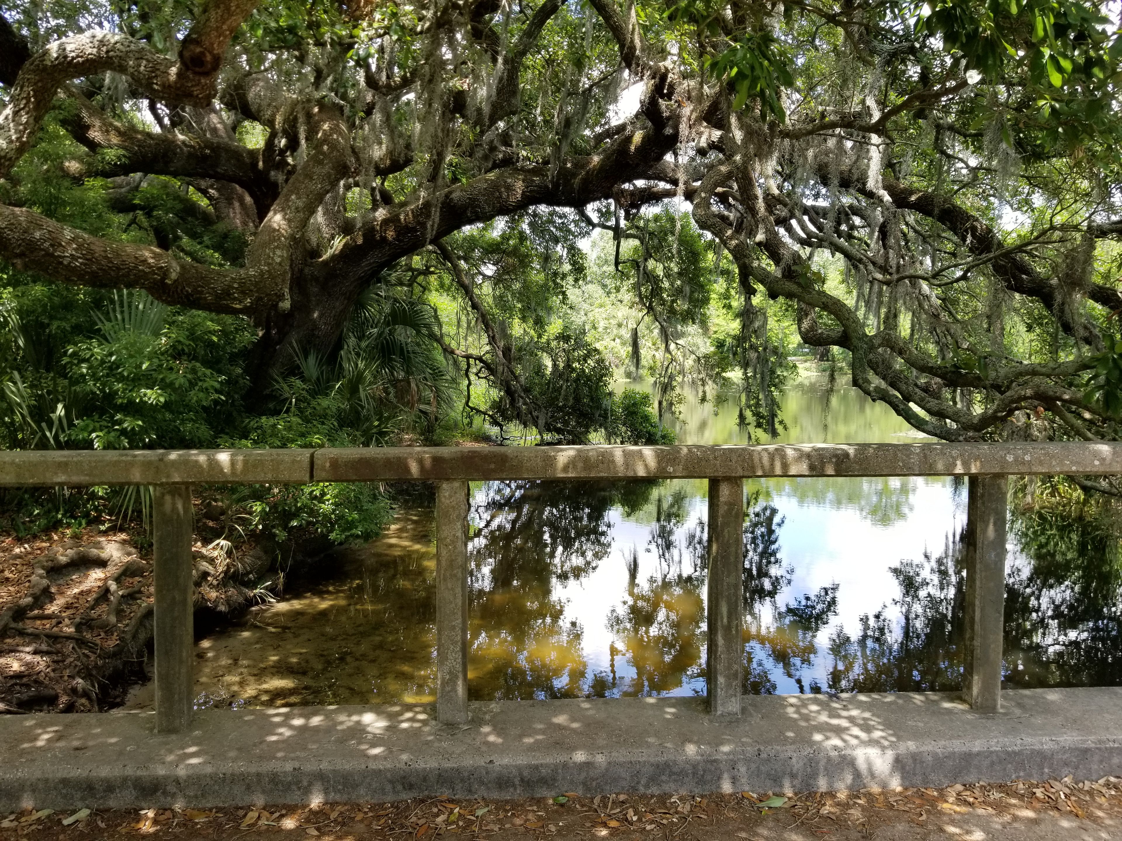 North Bridge in Wisner Tract