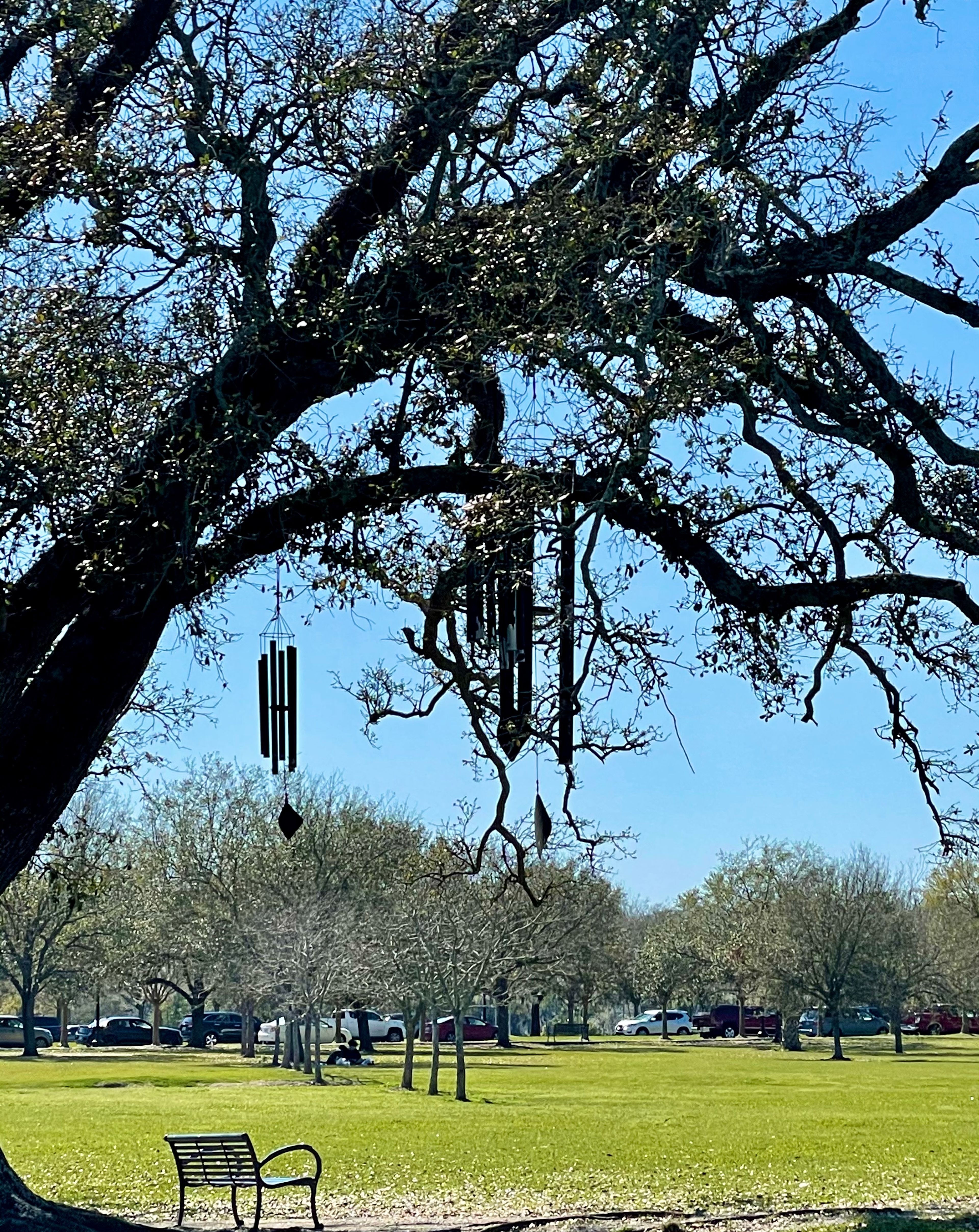 Singing Oak chimes