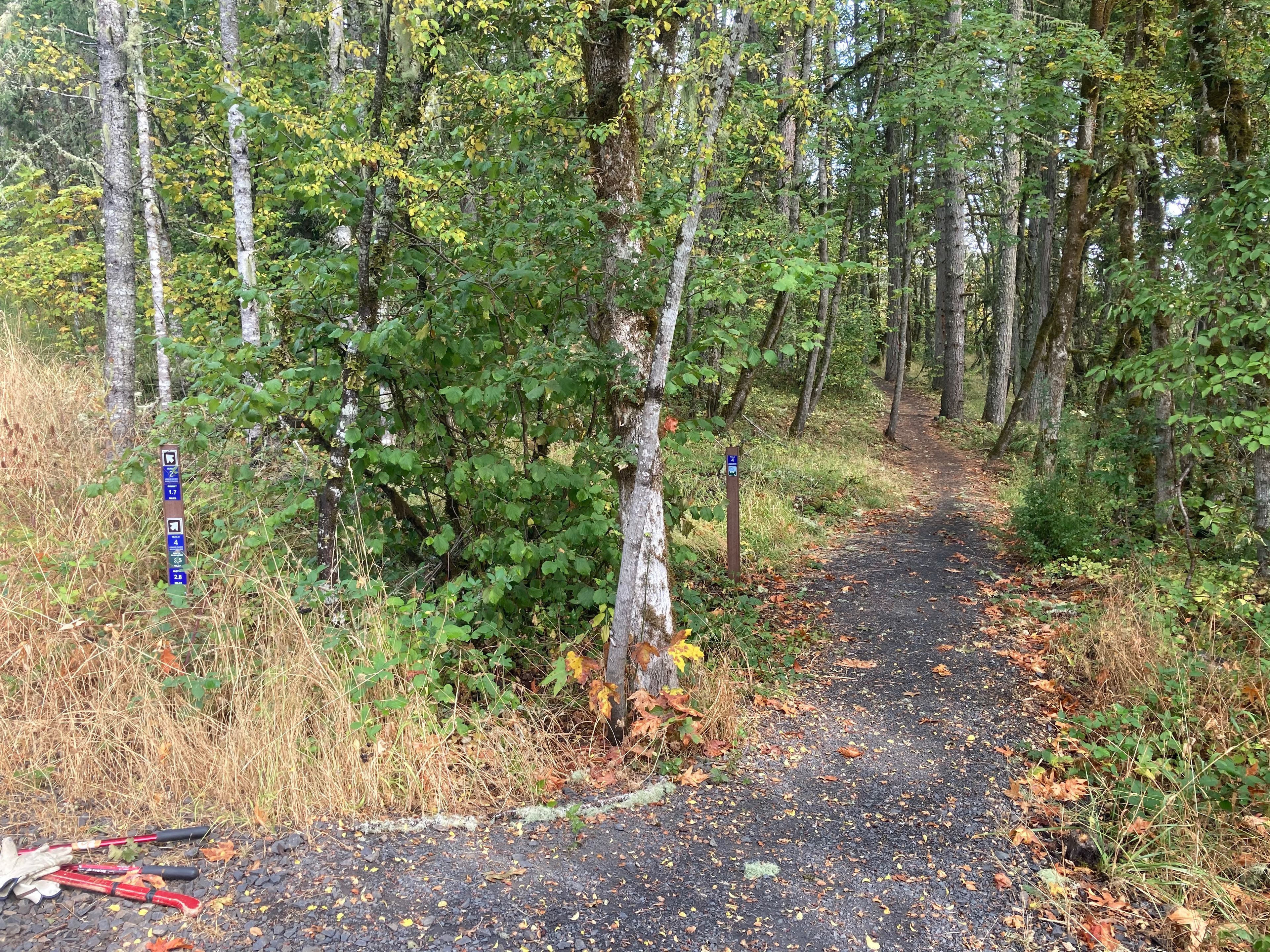 Trail 4's eastern terminus at Trail 2