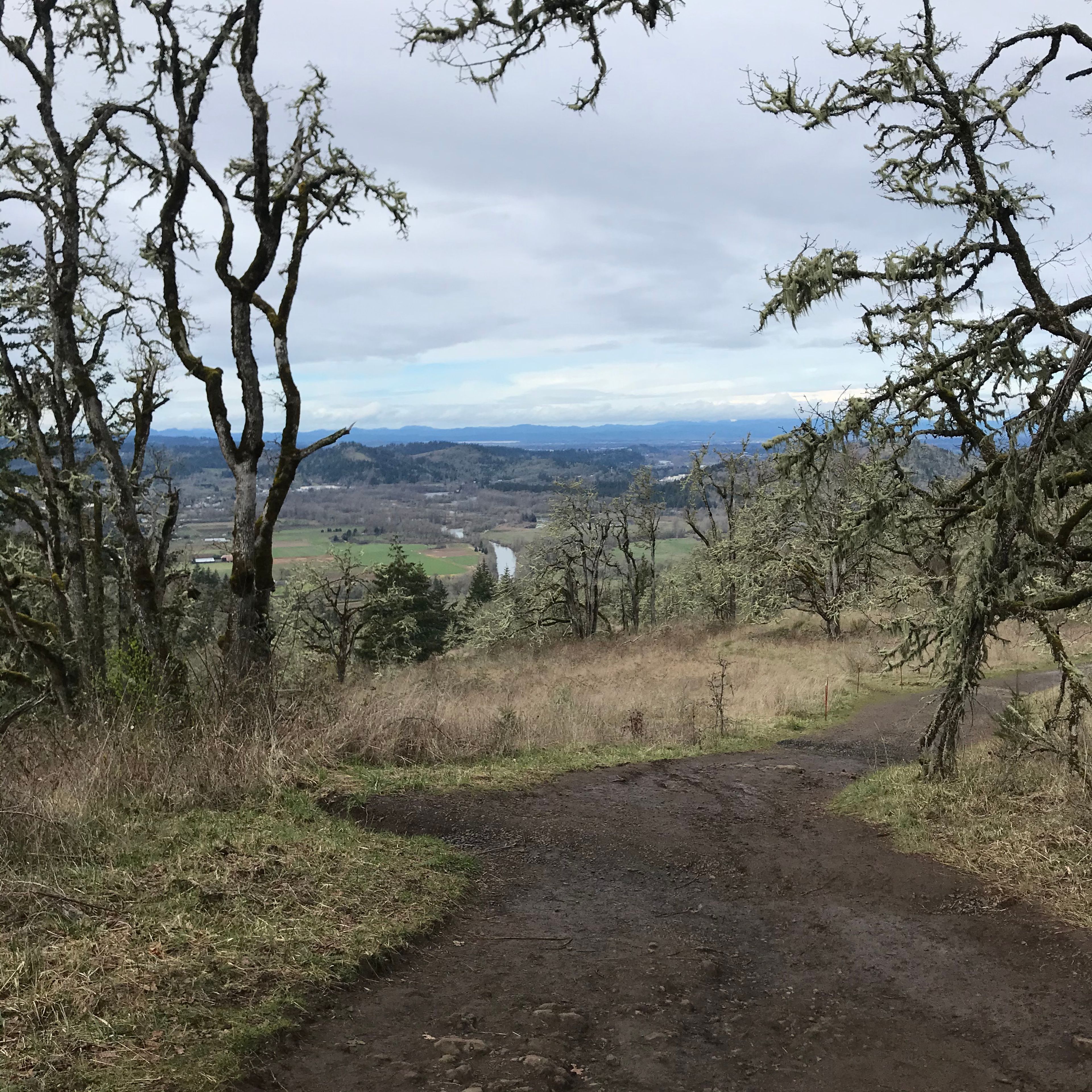 View north from Upper Trail 1