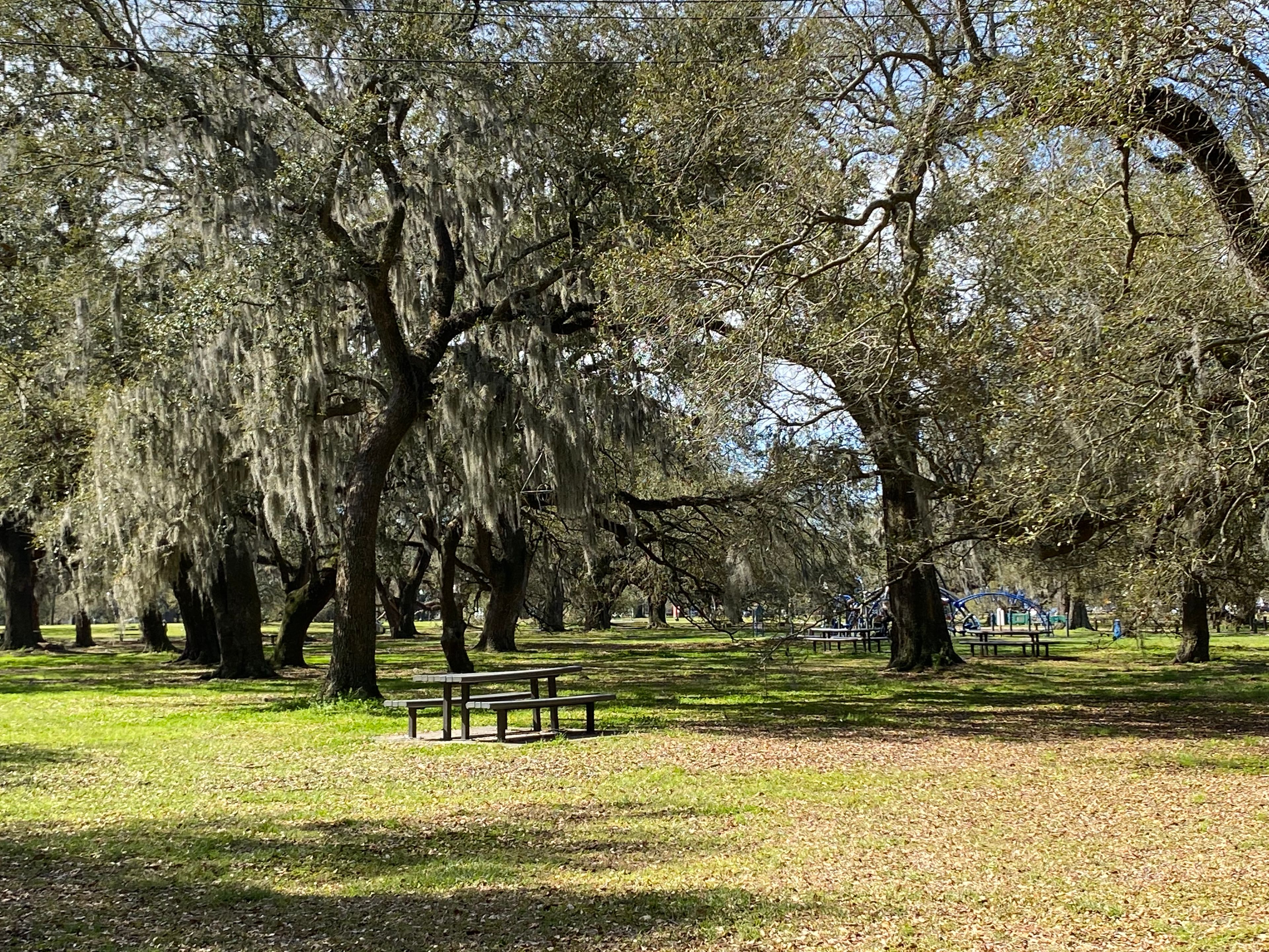 New Orleans City Park Picnic Area