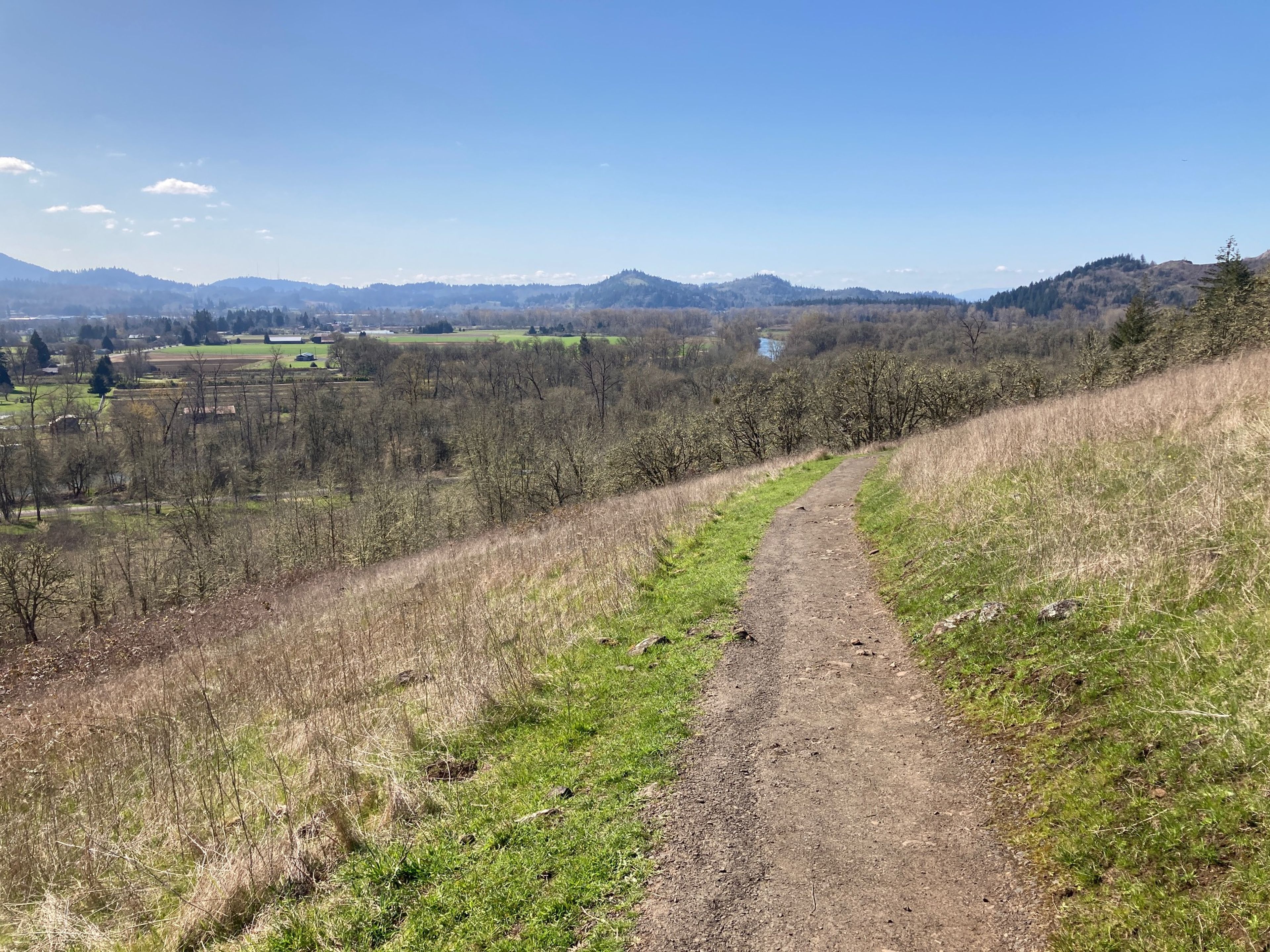 Trail 7 Looking north