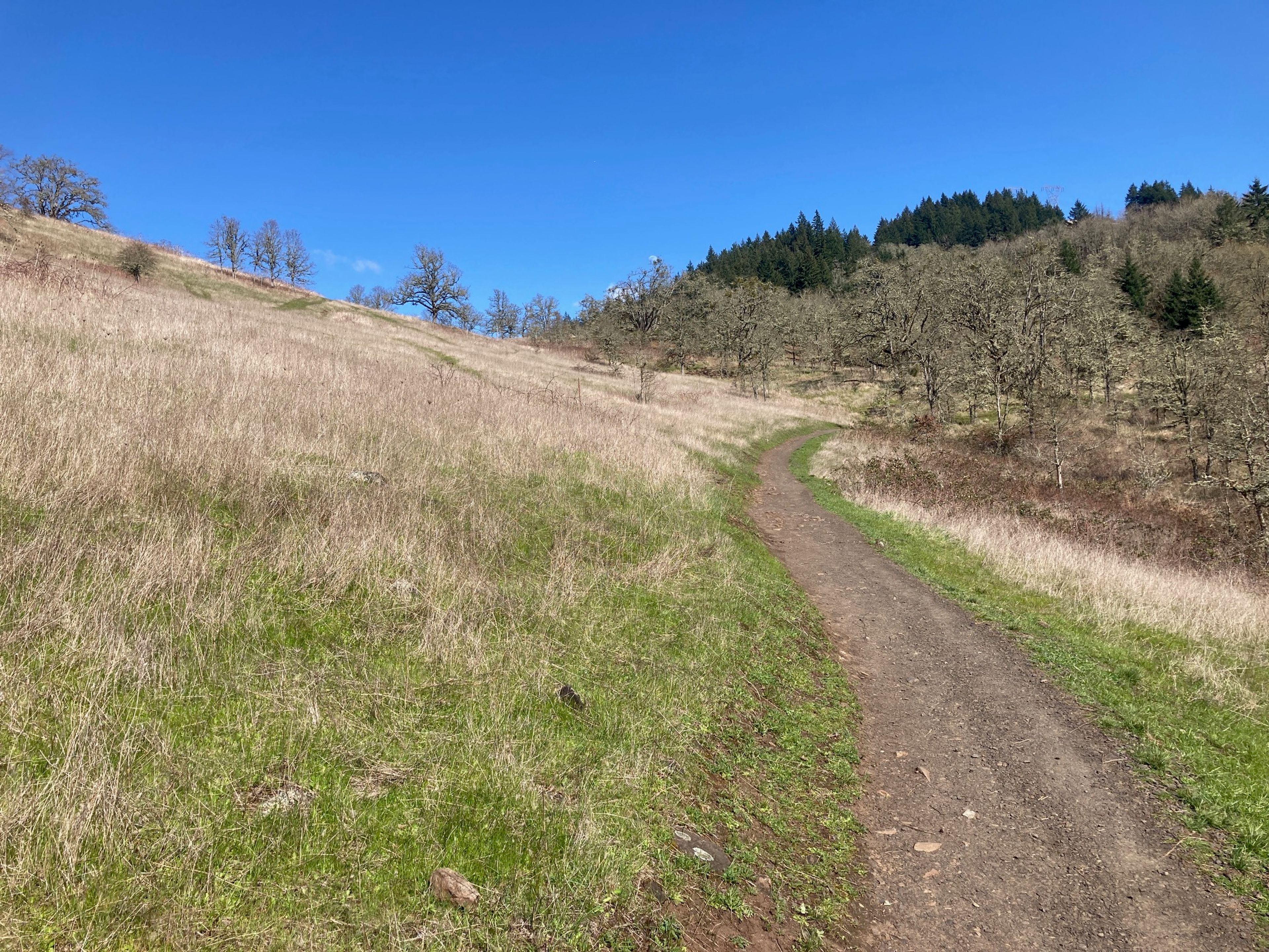 Trail 7 Looking east