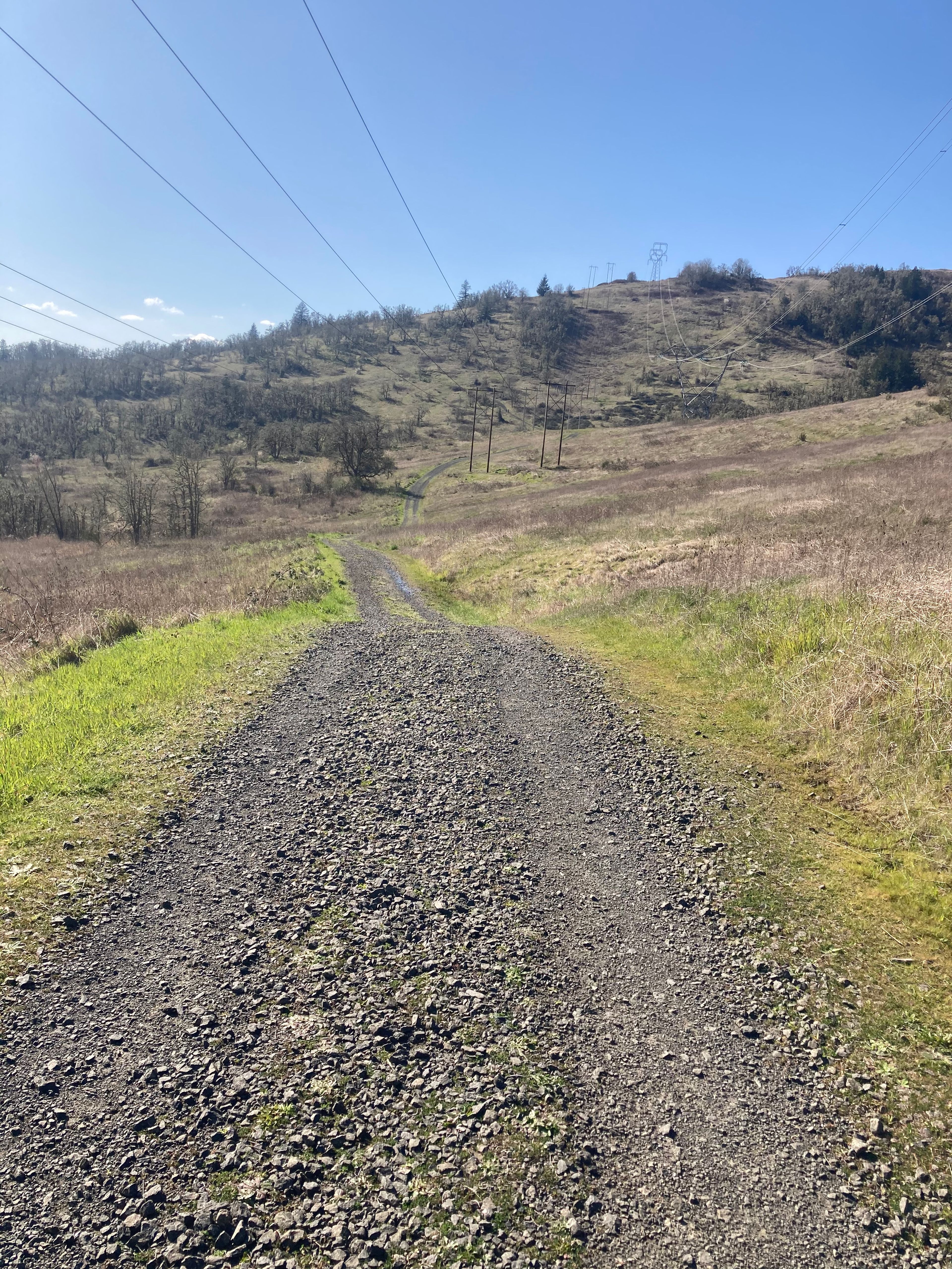 Trail 6 looking northwest