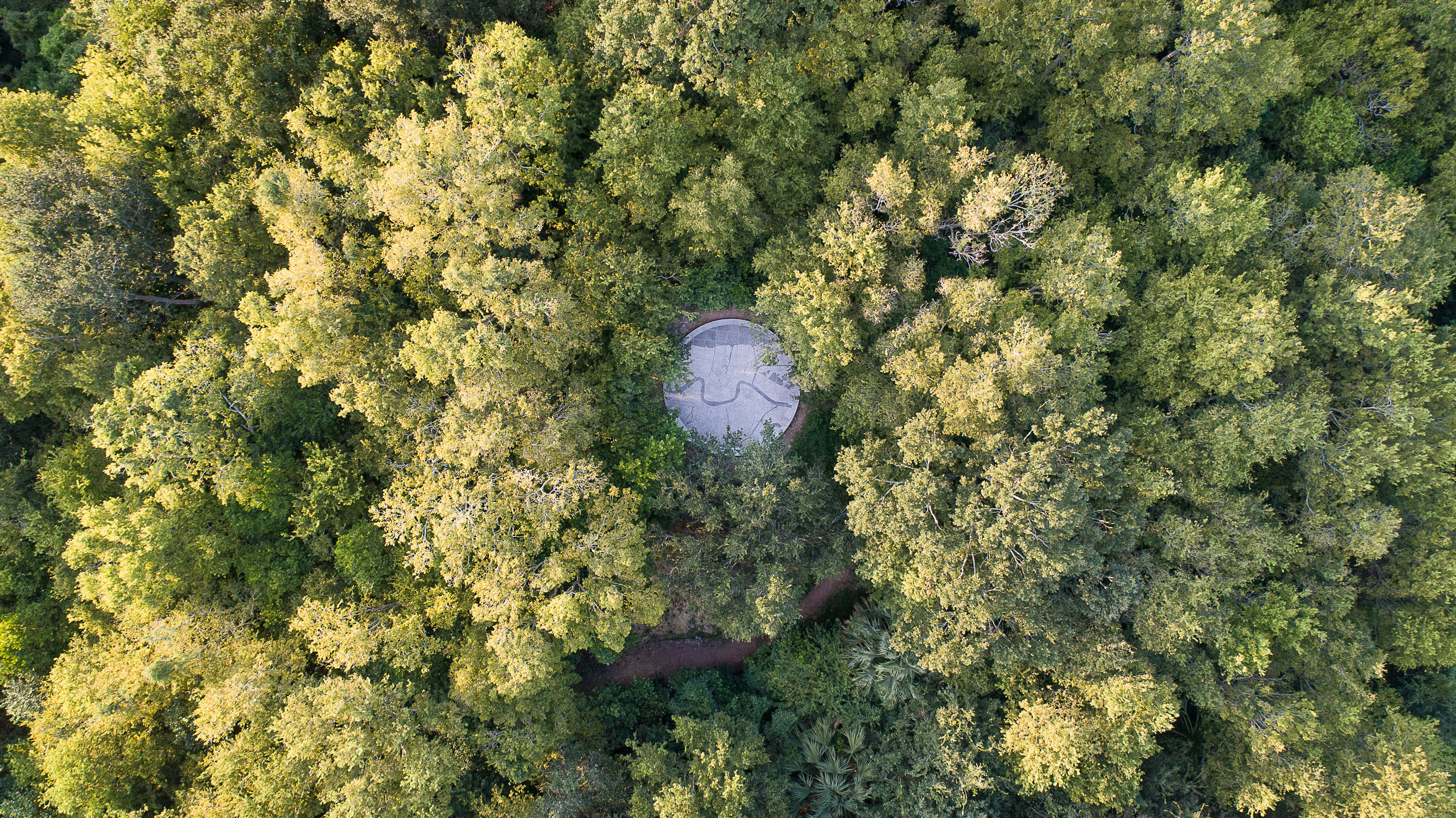 Bird's eye view of the top of Laborde Mtn.