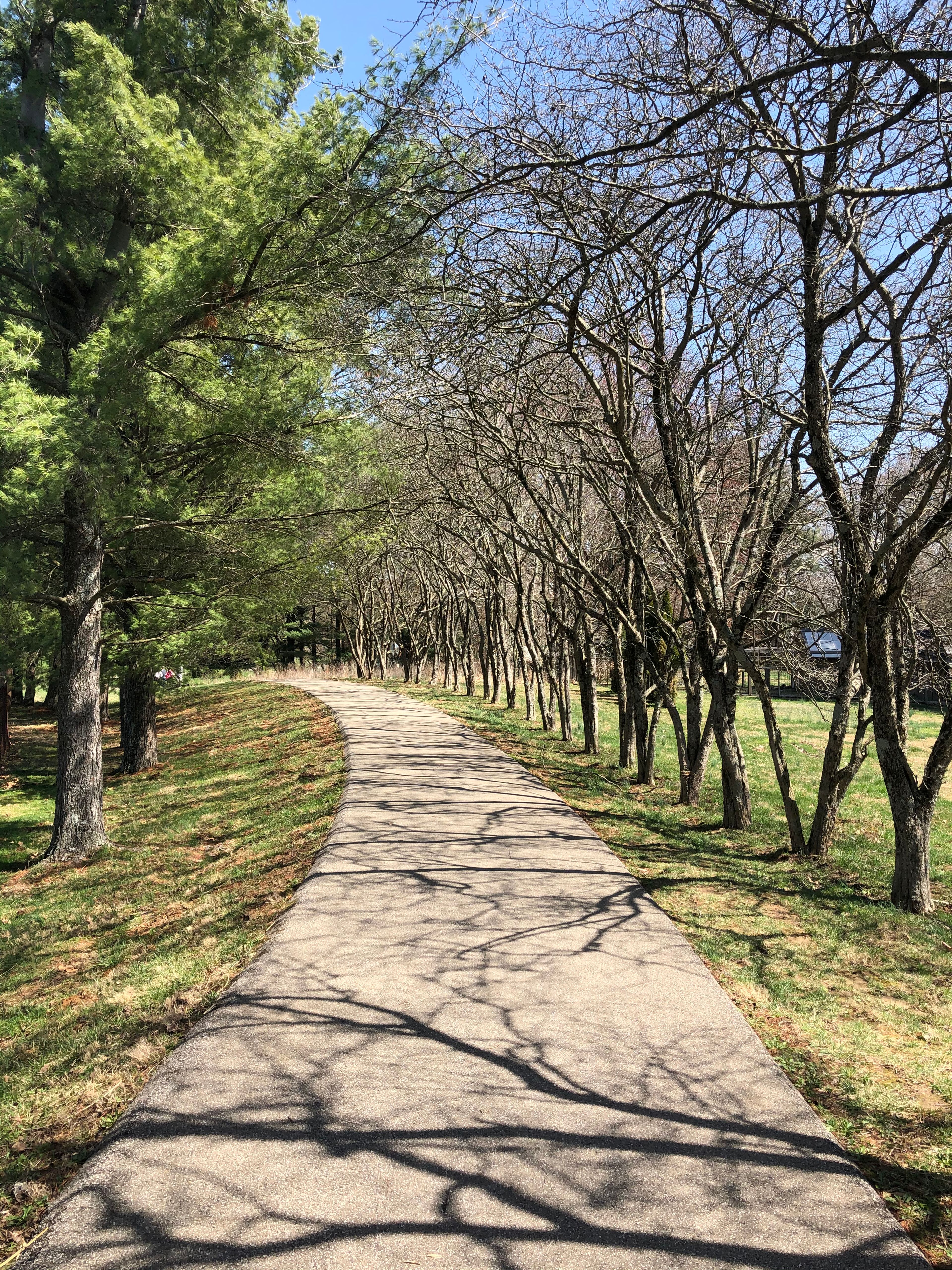 Winslow Sports Complex Fitness Trail