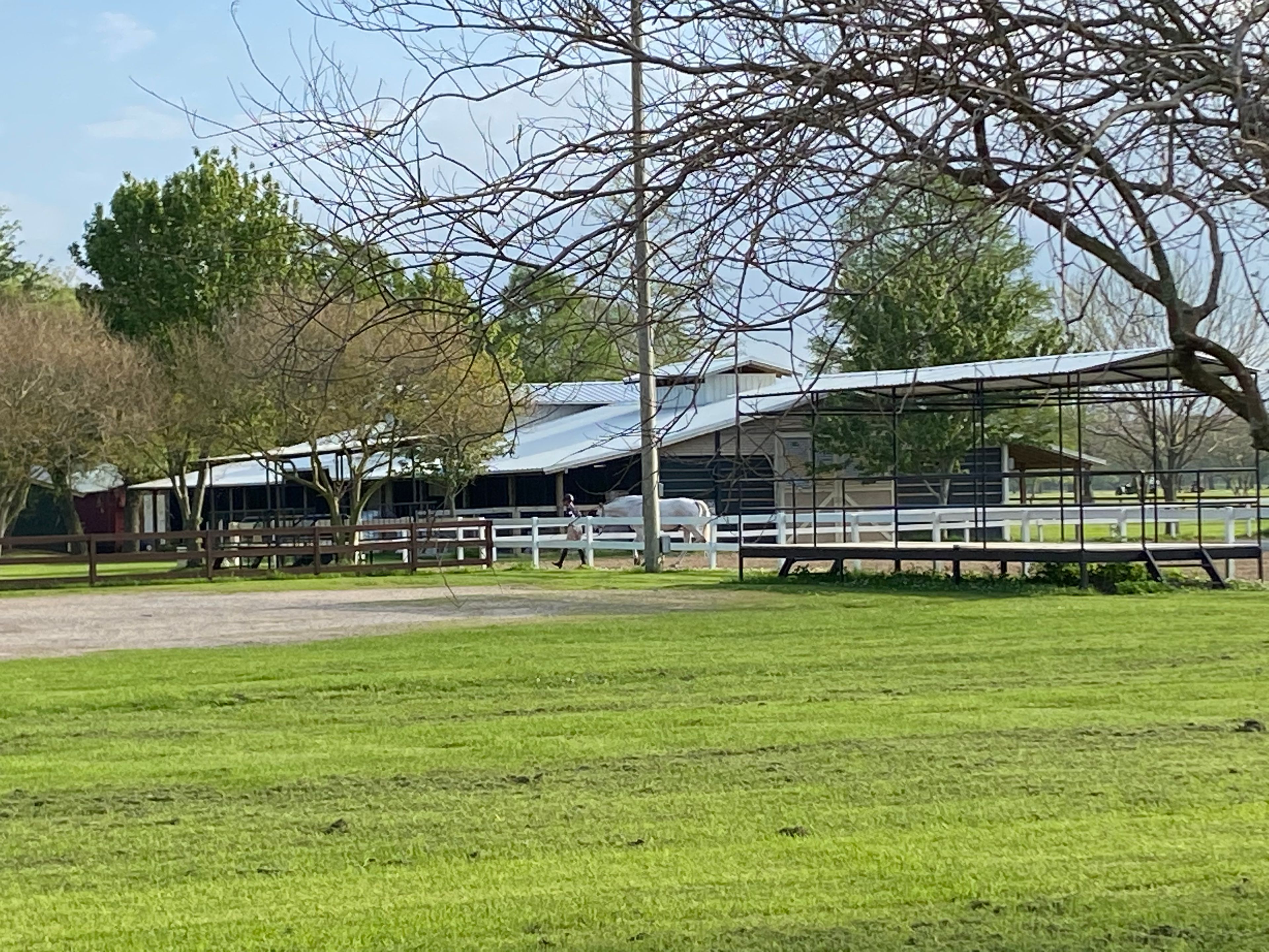 New Orleans City Park Equest Farms