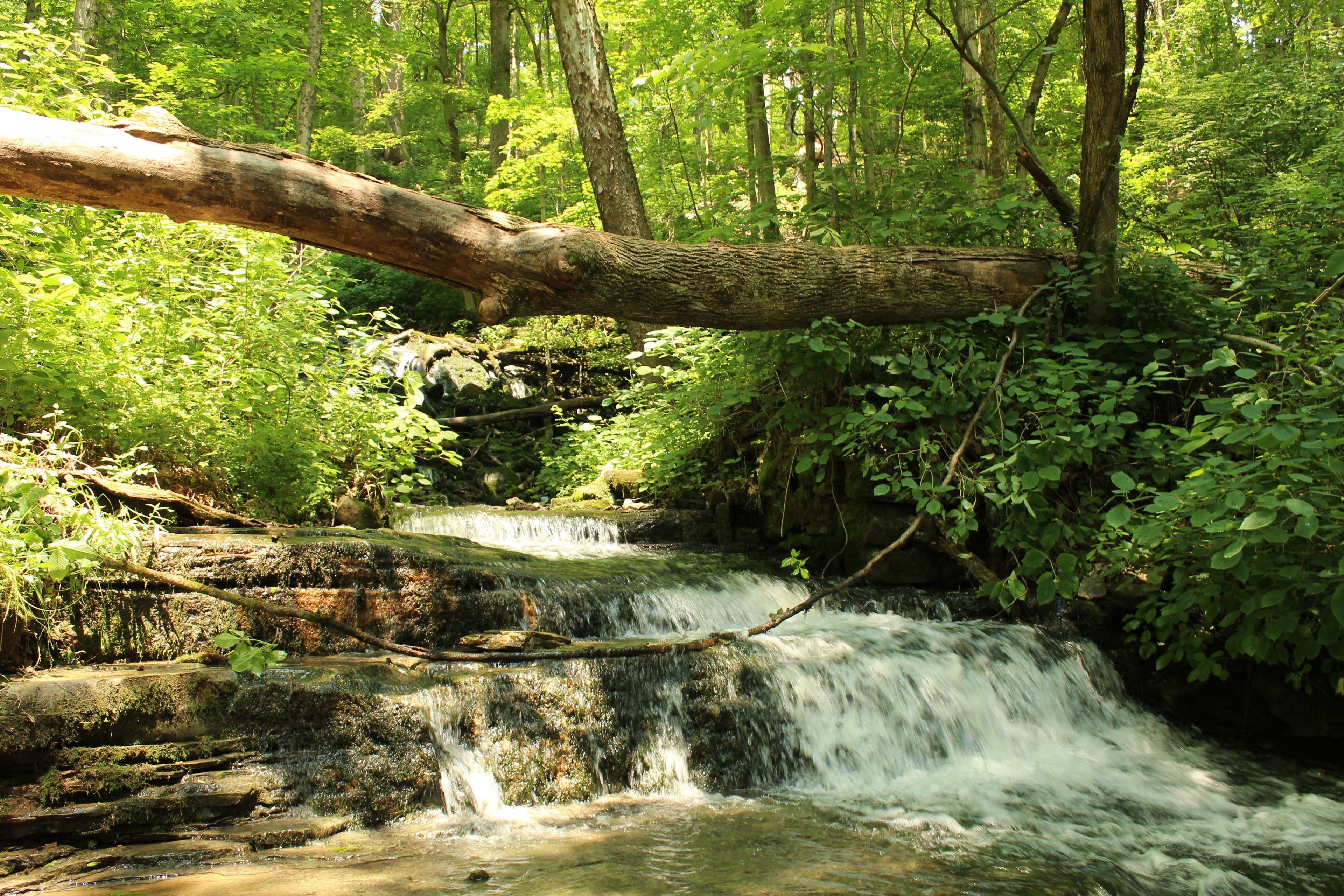 Leonard Springs Nature Park (pictured: Shirley Spring)