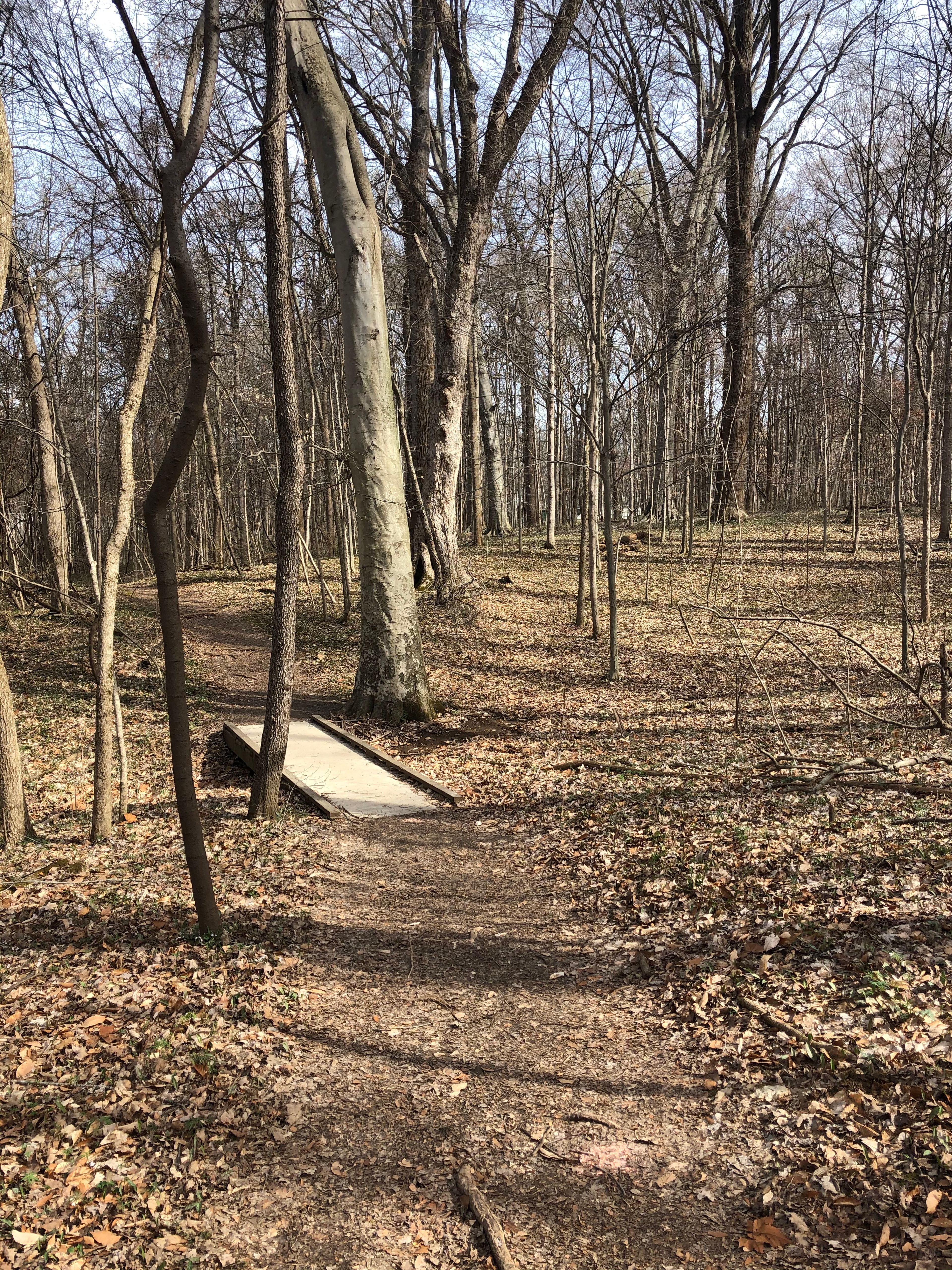 Winslow Woods Nature Trail