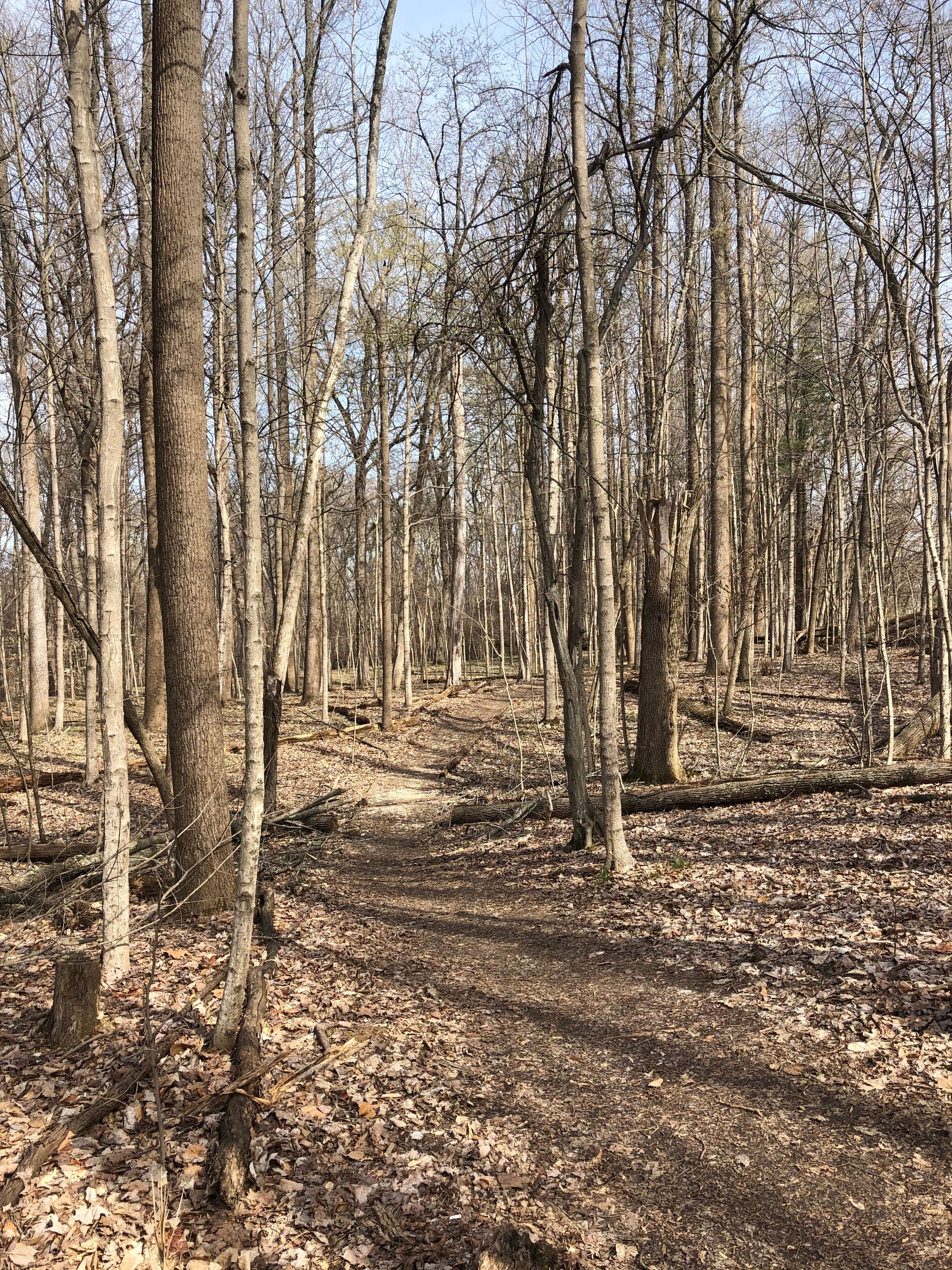 Winslow Woods Nature Trail