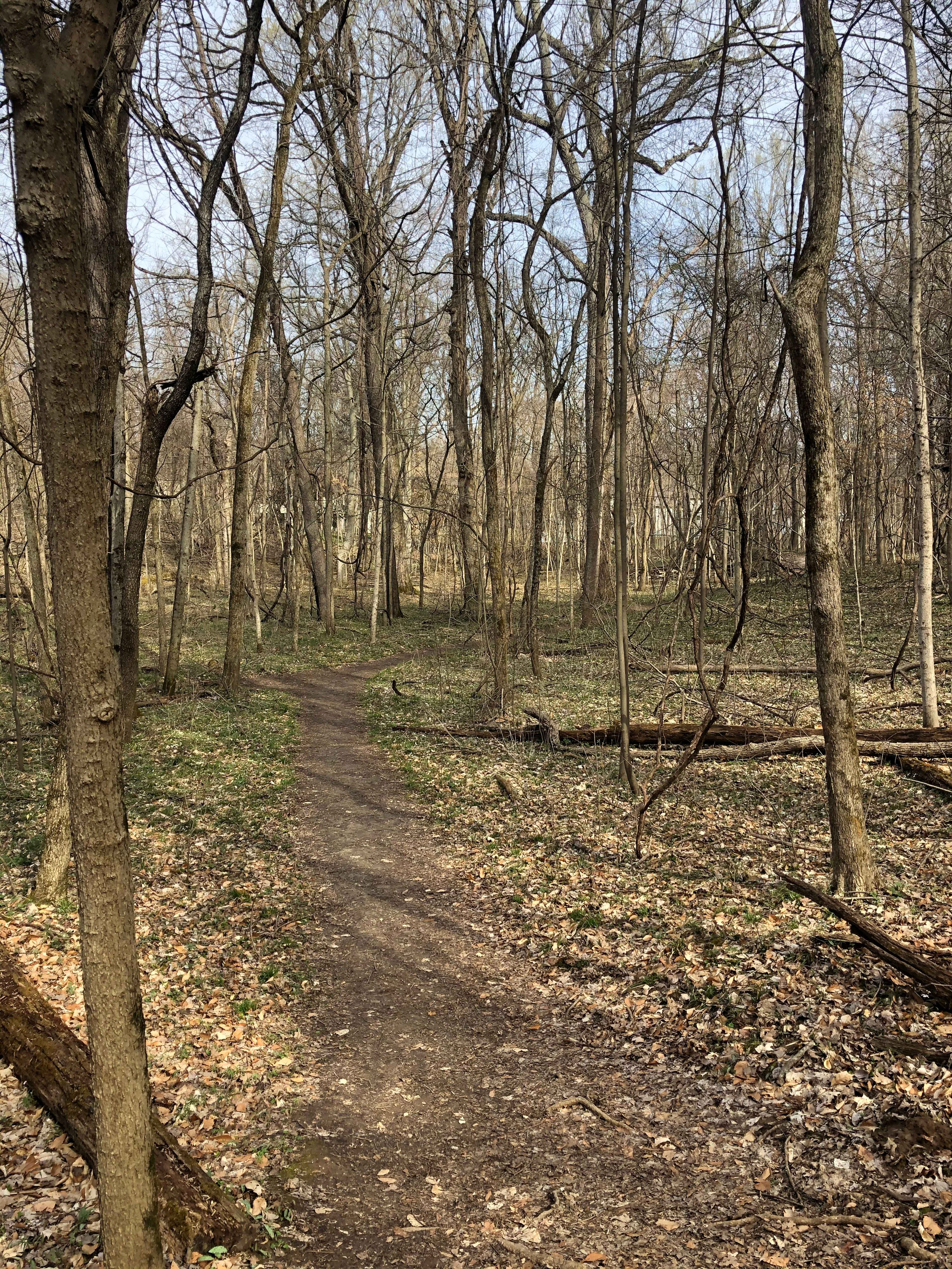 Winslow Woods Nature Trail