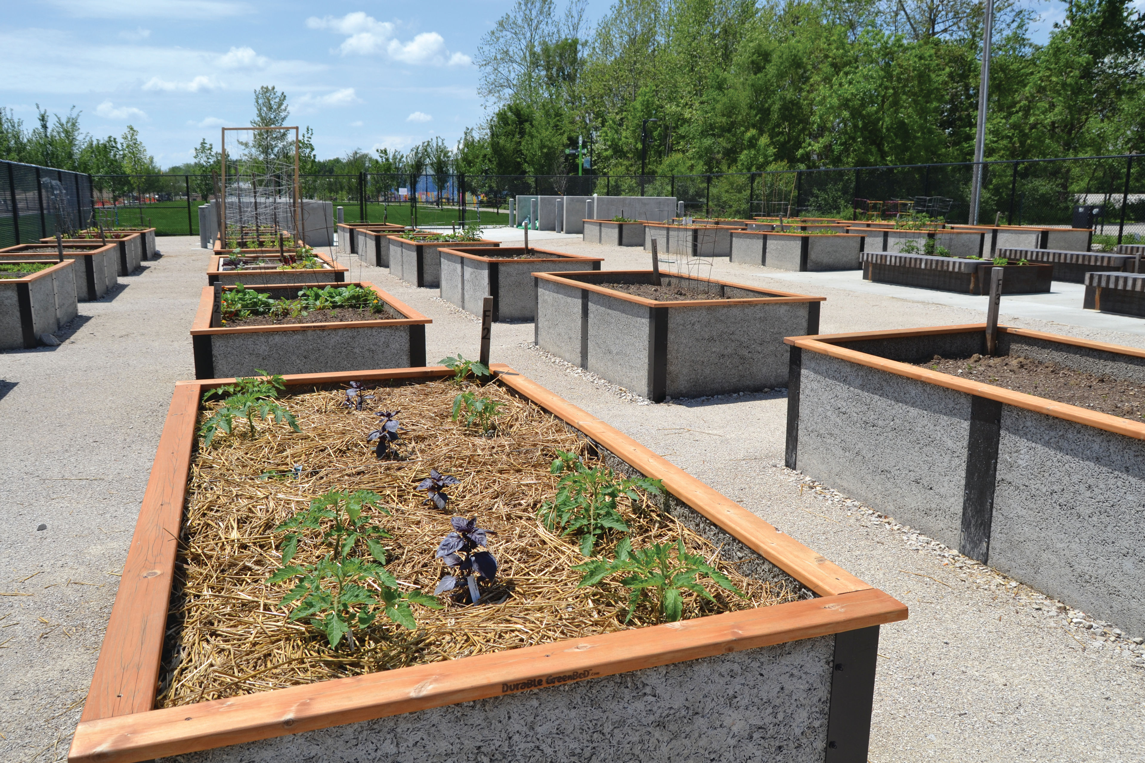 Switchyard Park Community Gardens