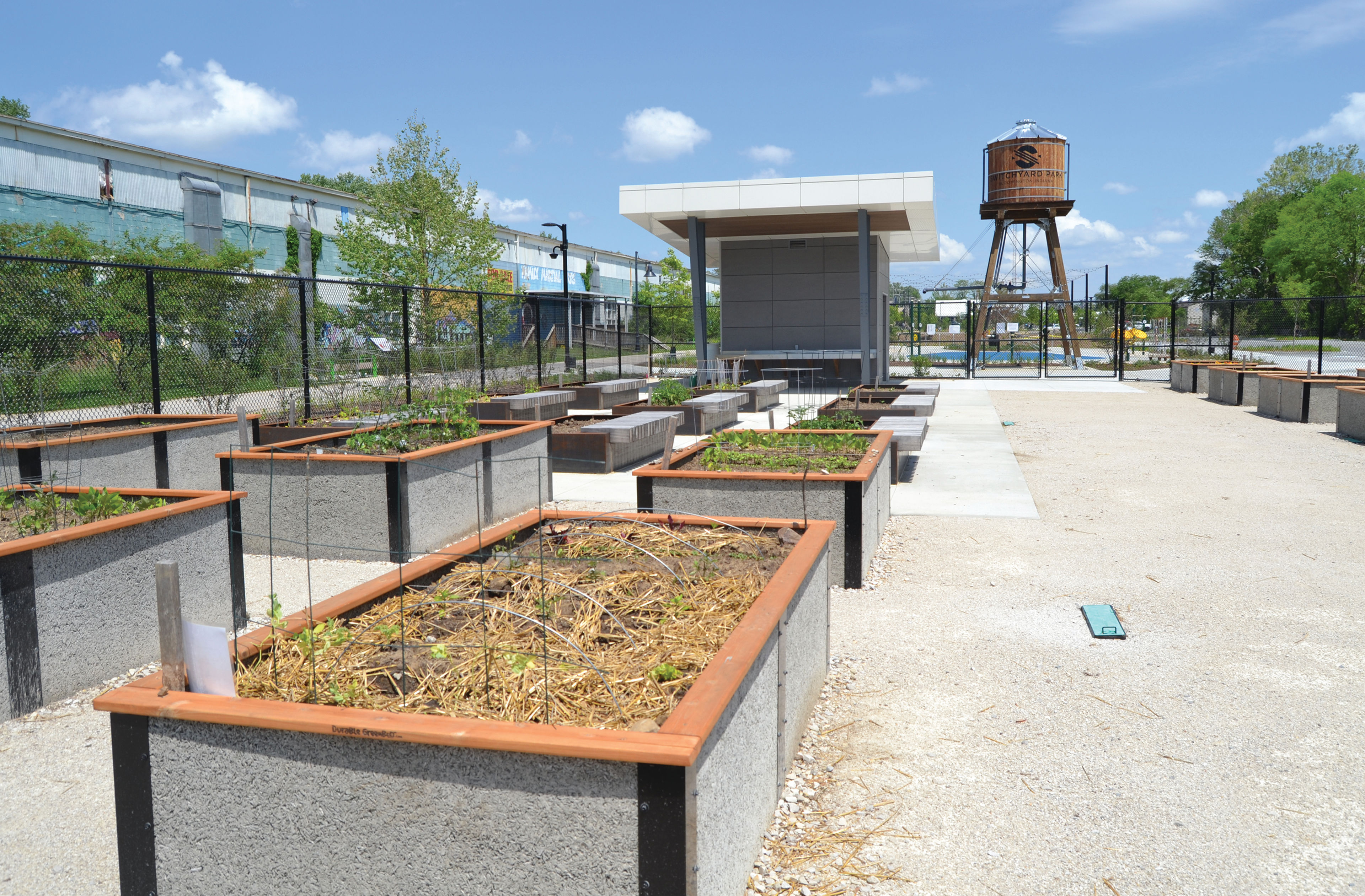 Switchyard Park Community Gardens