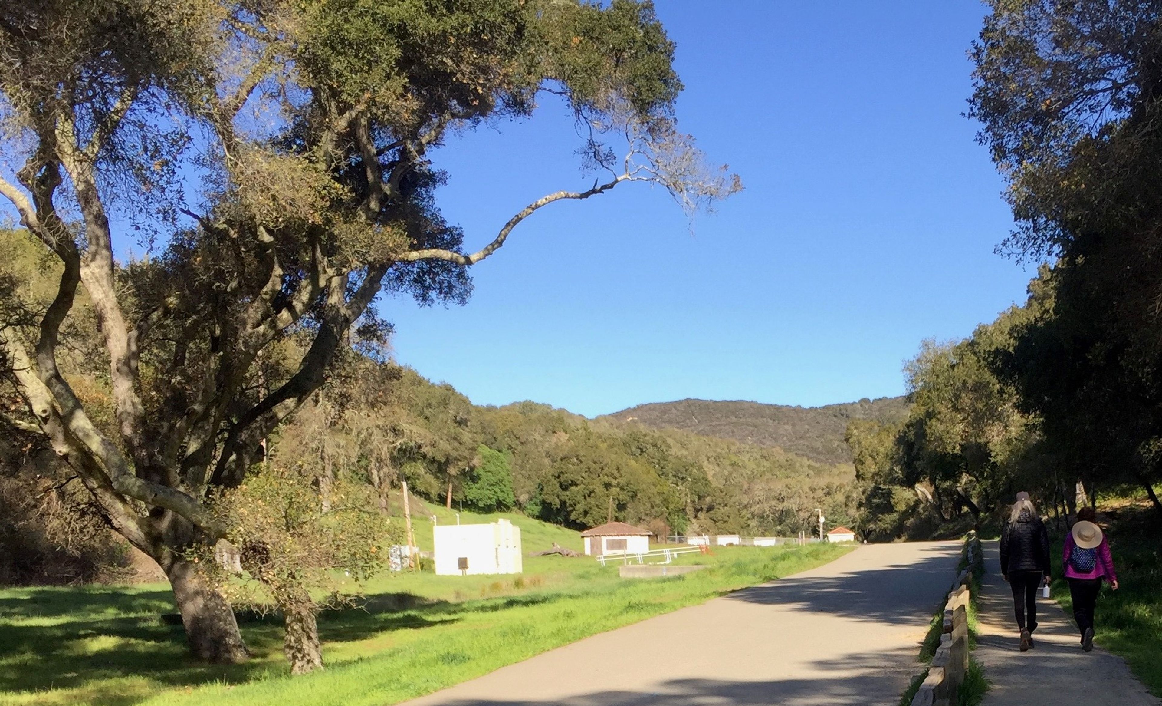 two people walking along shaded trail