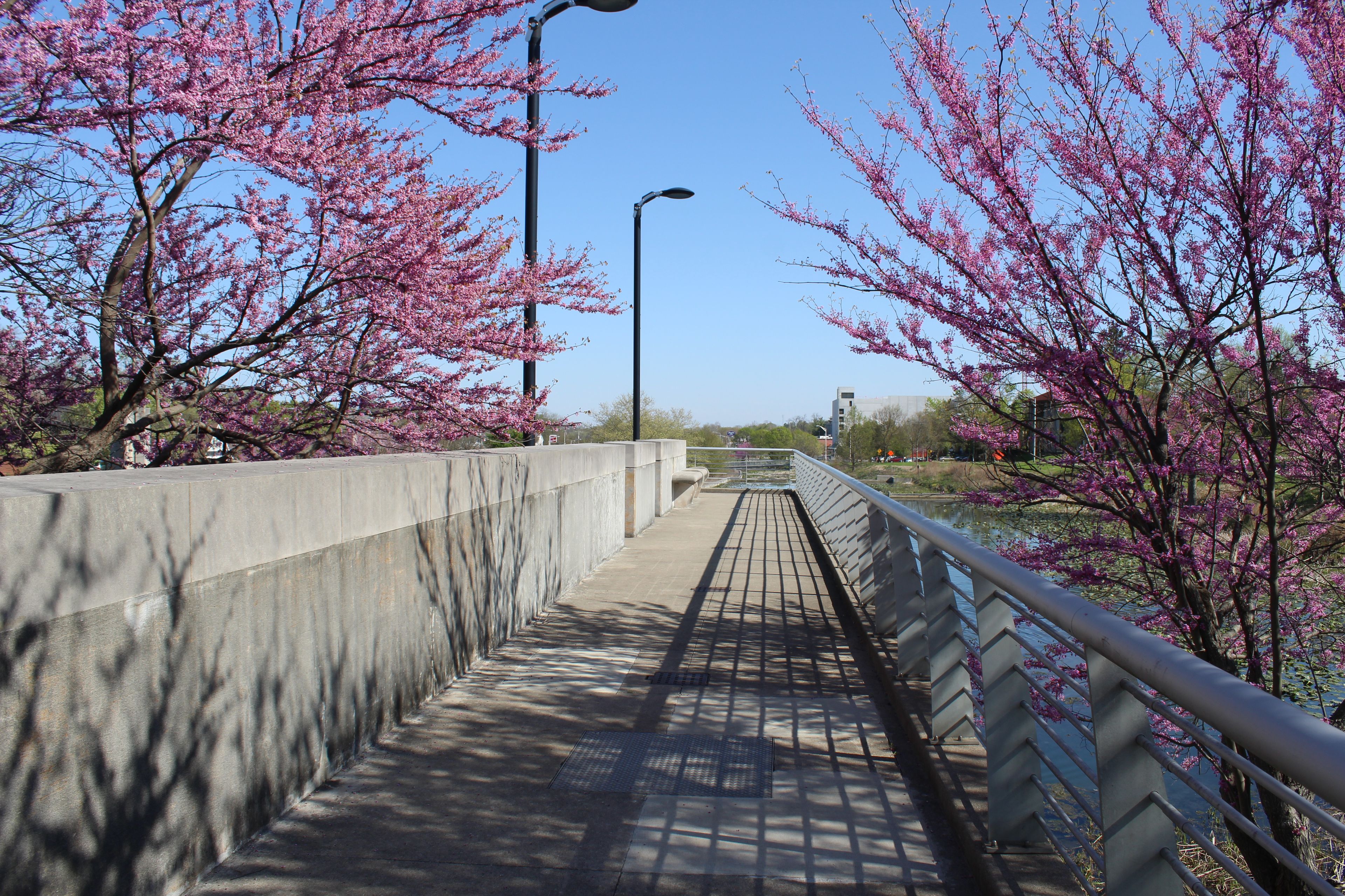 Observation pier at Miller-Showers Park