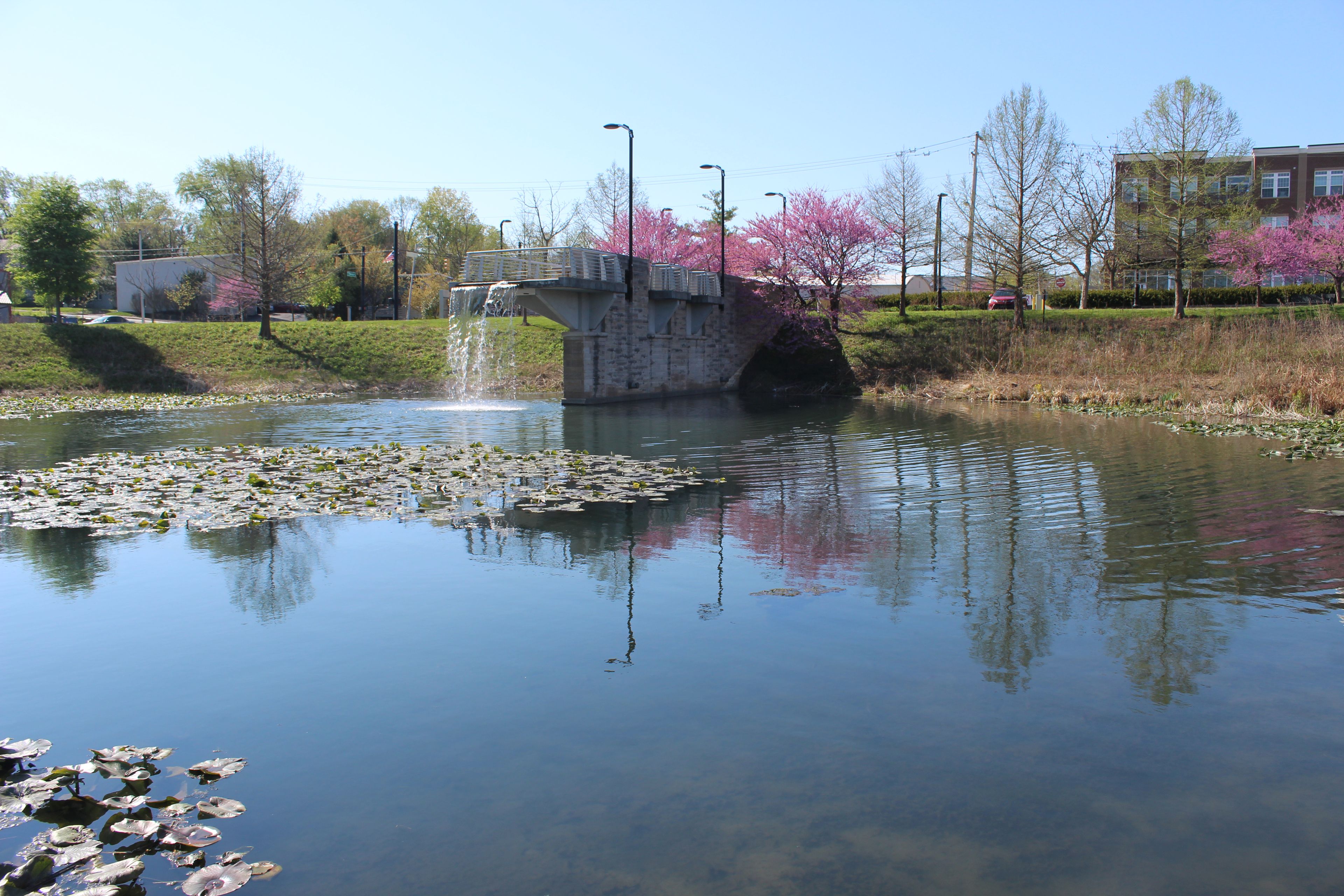 Upper pond at Miller-Showers Park looking south