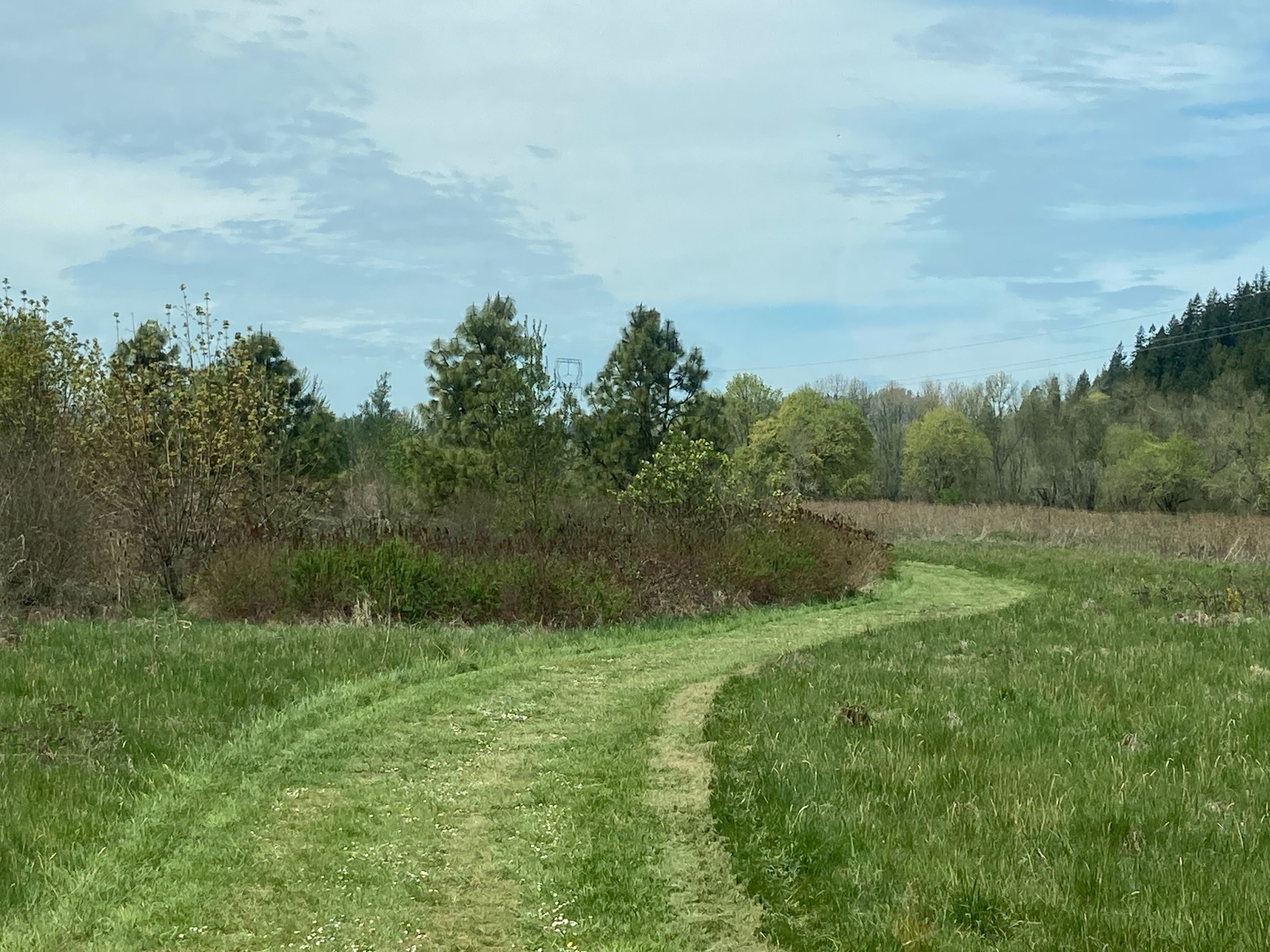 South Bottomlands grass-surface trail