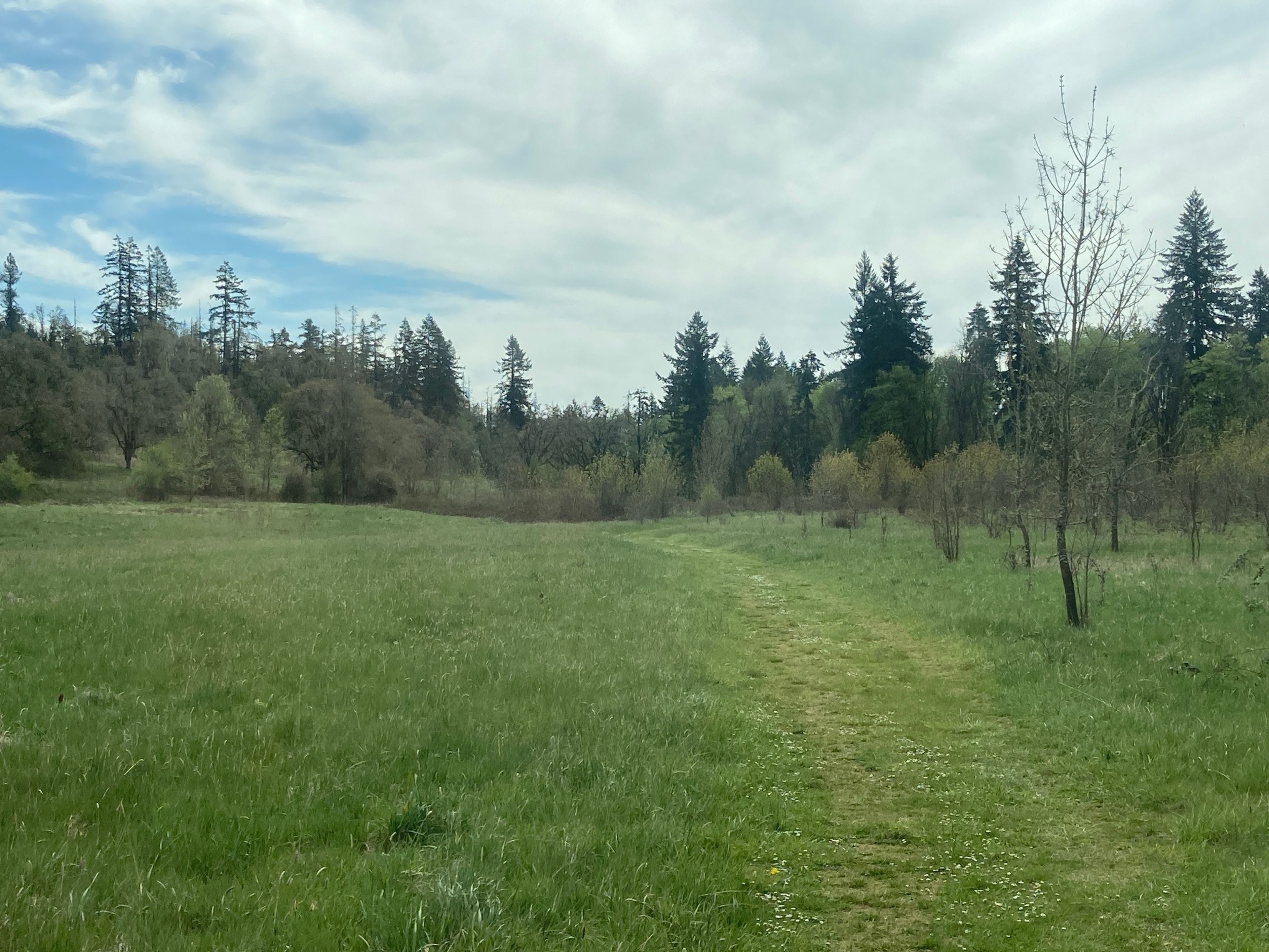 South Bottomlands grass-surface trail