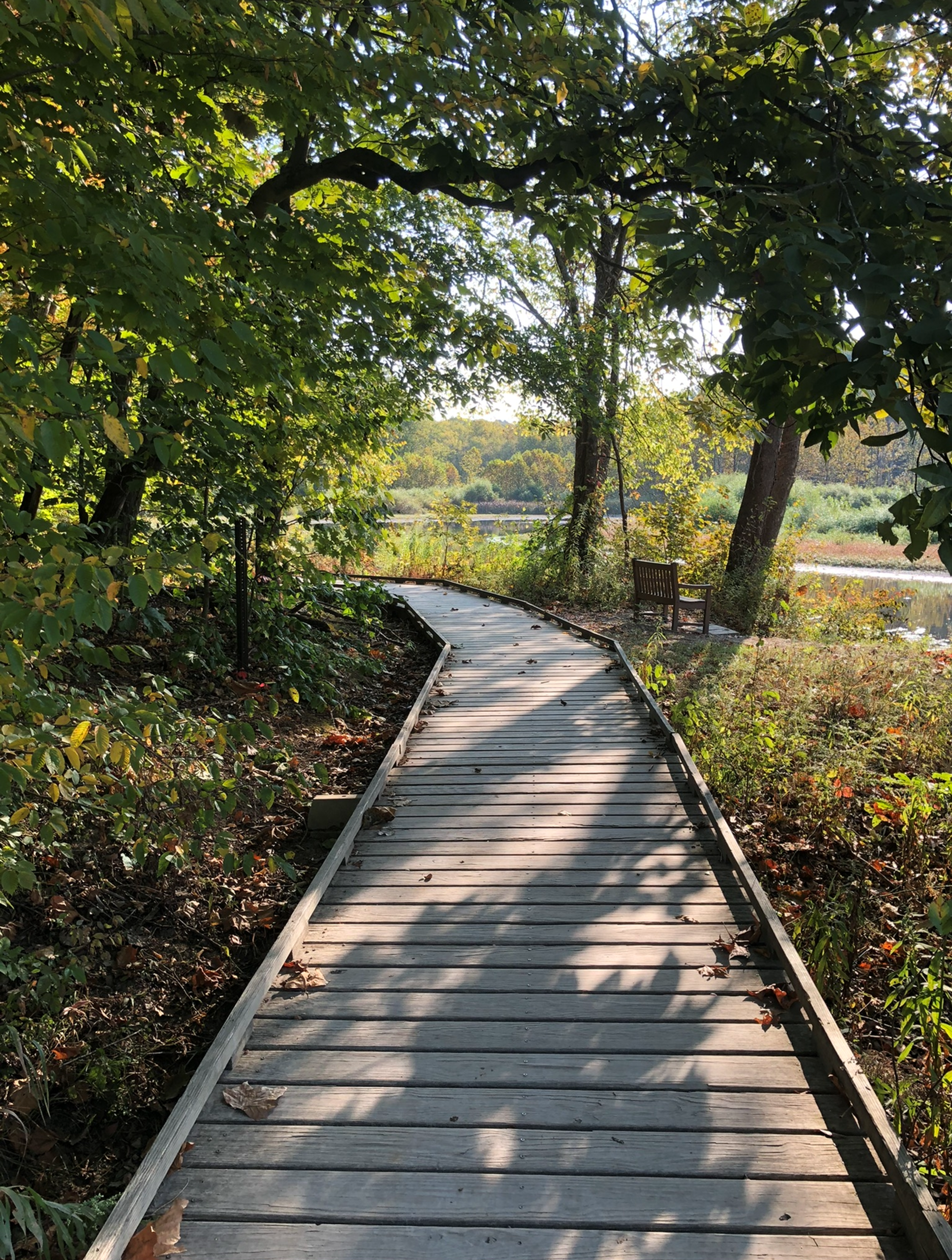 Griffy Lake Nature Preserve Trailhead