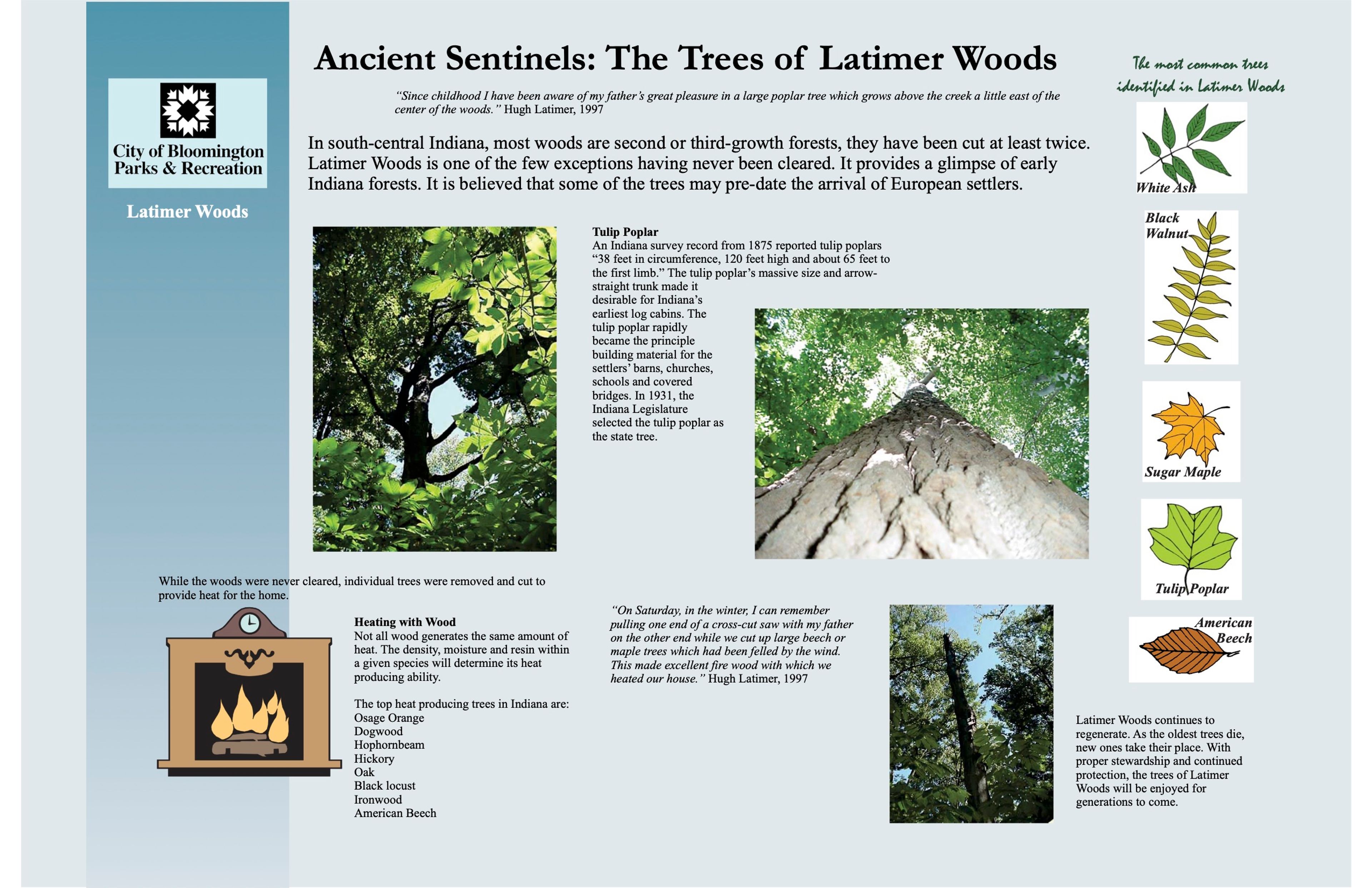 Latimer Woods Interpretive Sign- Ancient Sentinels: The Trees of Latimer Woods