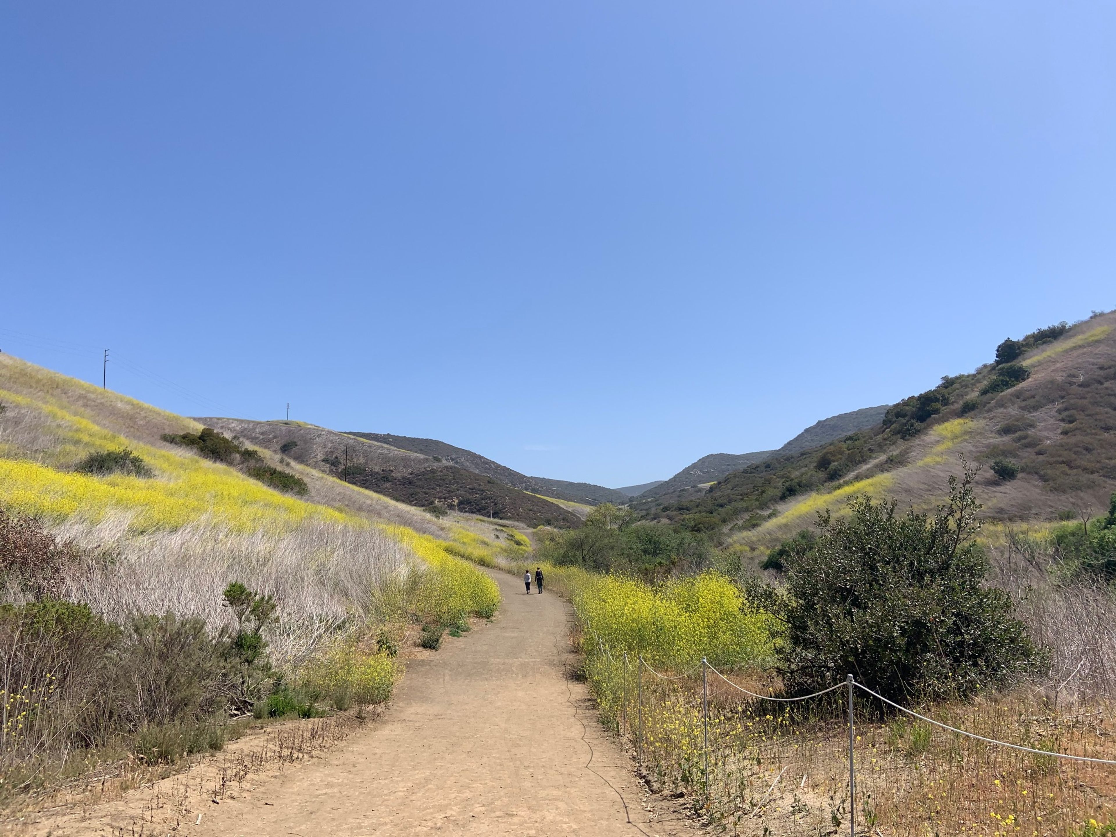 Great view of Moro Canyon looking up from the bottom of the trail