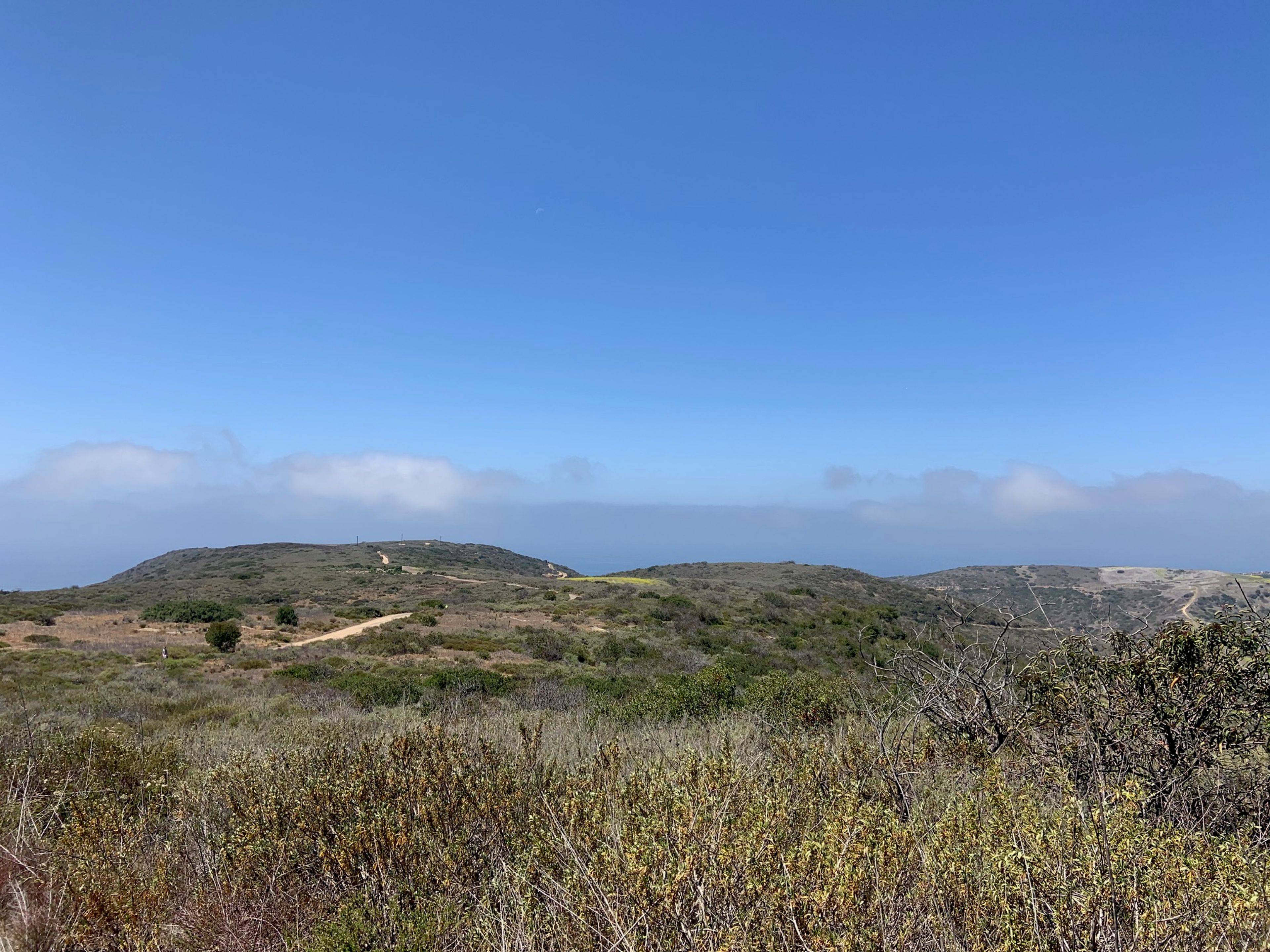 View from the East Cut Across trail