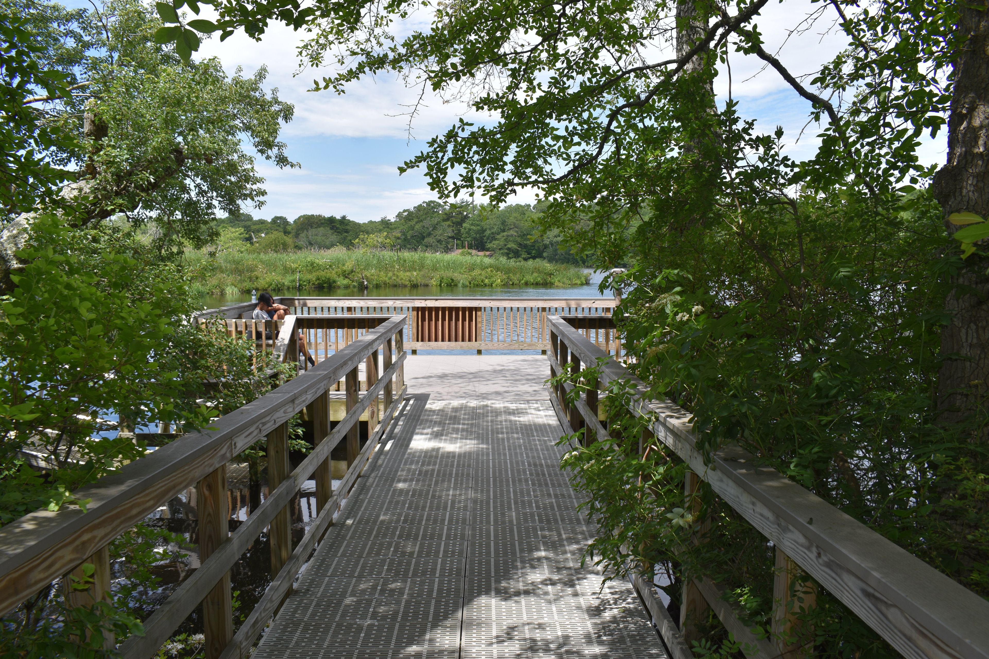 The observation platform gives paddlers access to the Wertheim Visitor Center (and restrooms!).