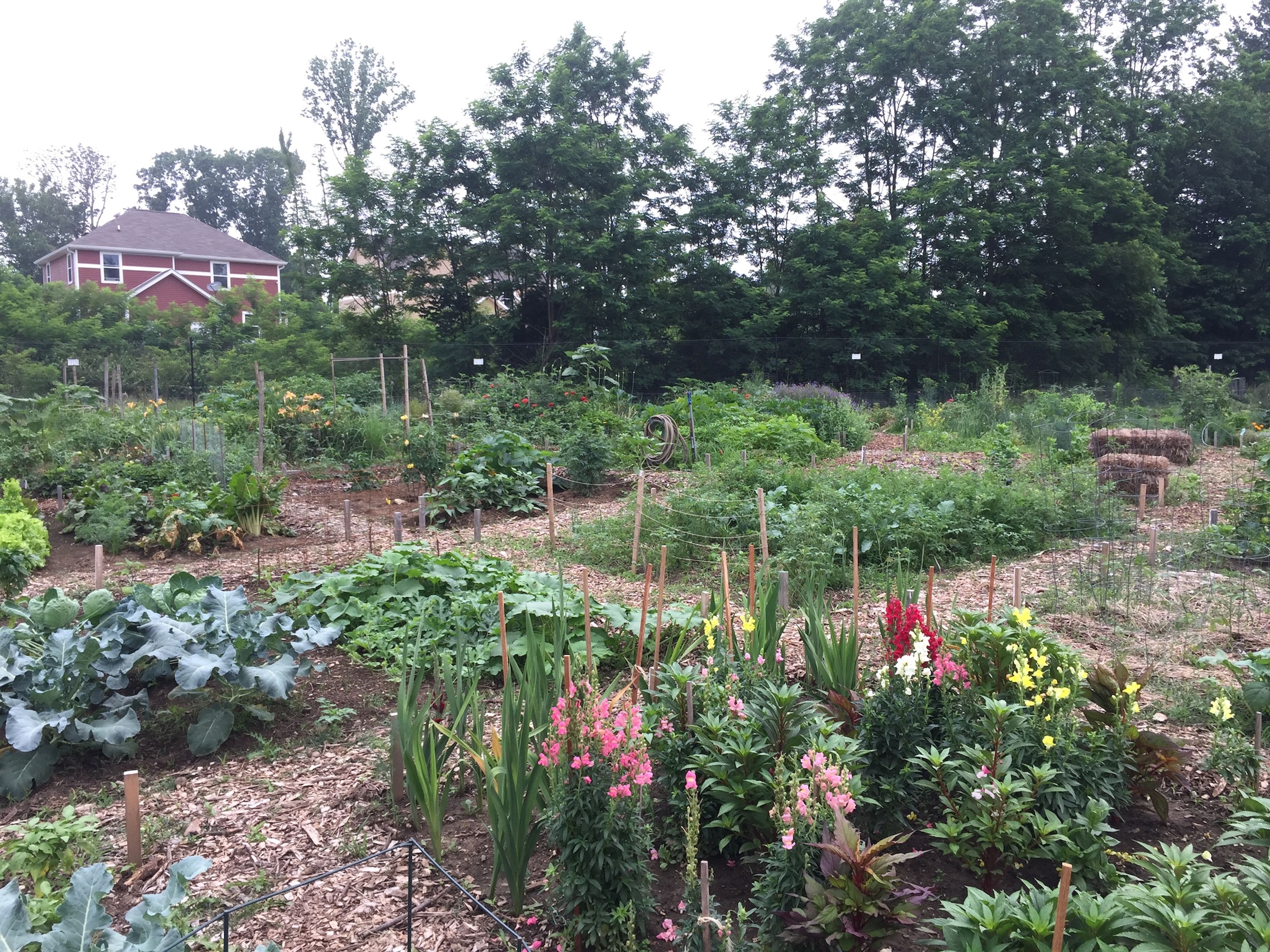 Butler Community Garden plots