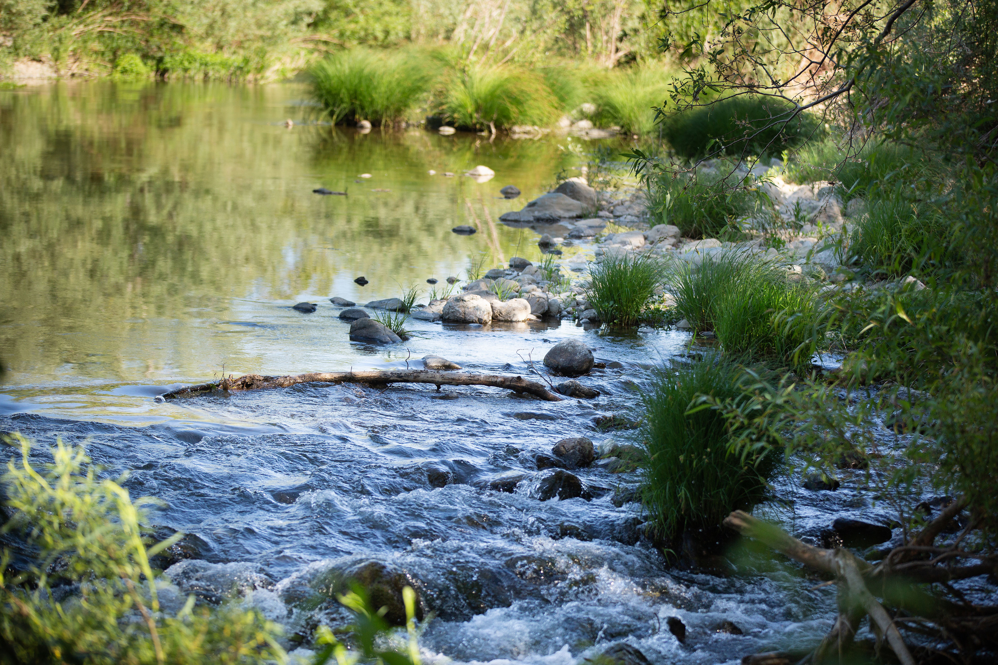 Cloverdale River Park - Russian River