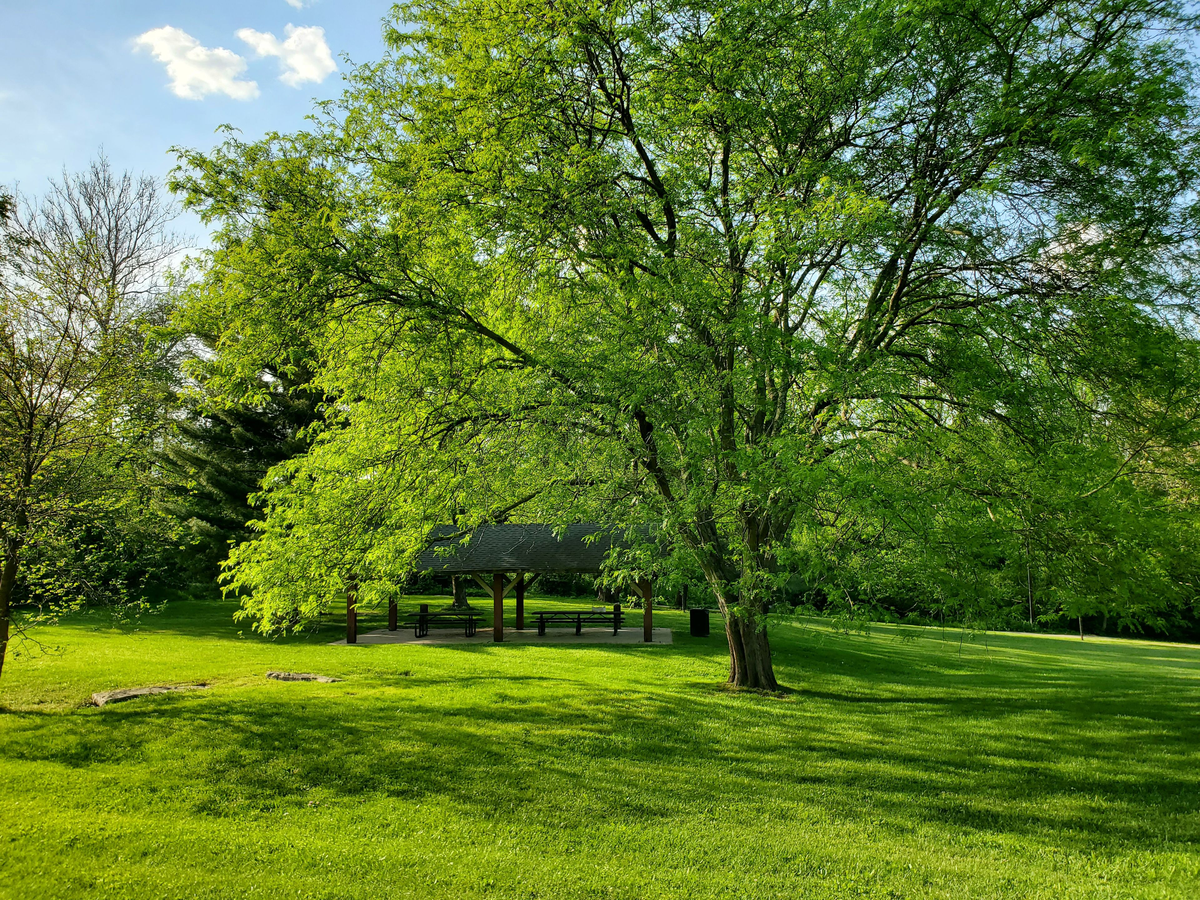 Butler Park west shelter from a distance