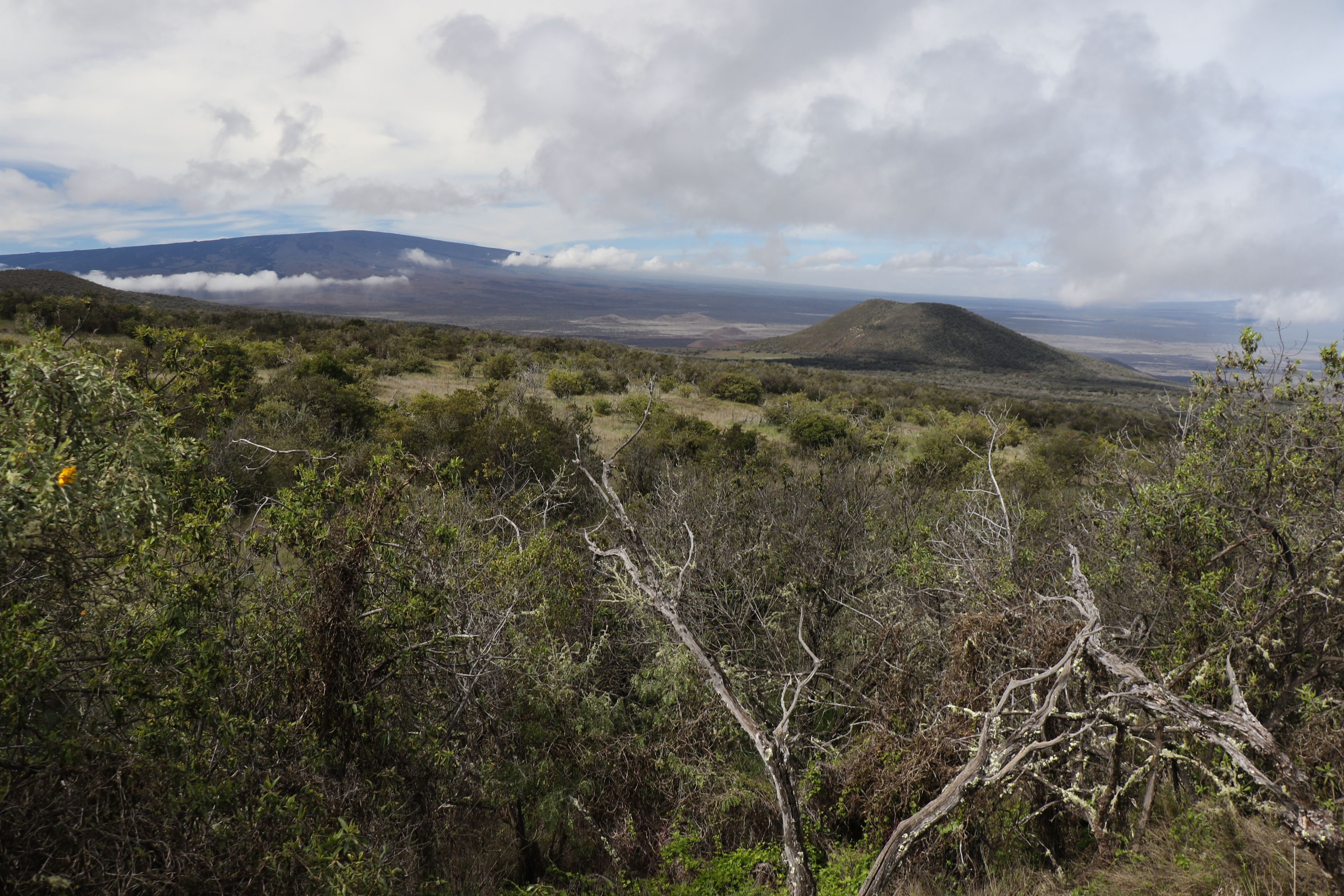 This trail is located at 7,000 feet with clear views.