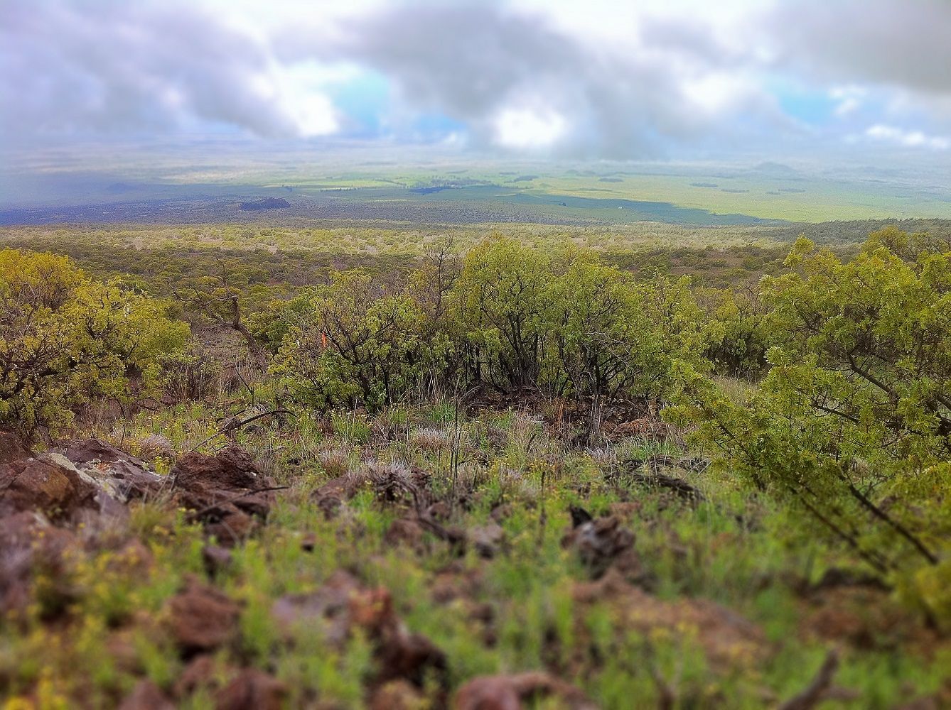 Mana Loa 1975 Eruption of Mauna Loa - Hawaiʻi Volcanoes National Park