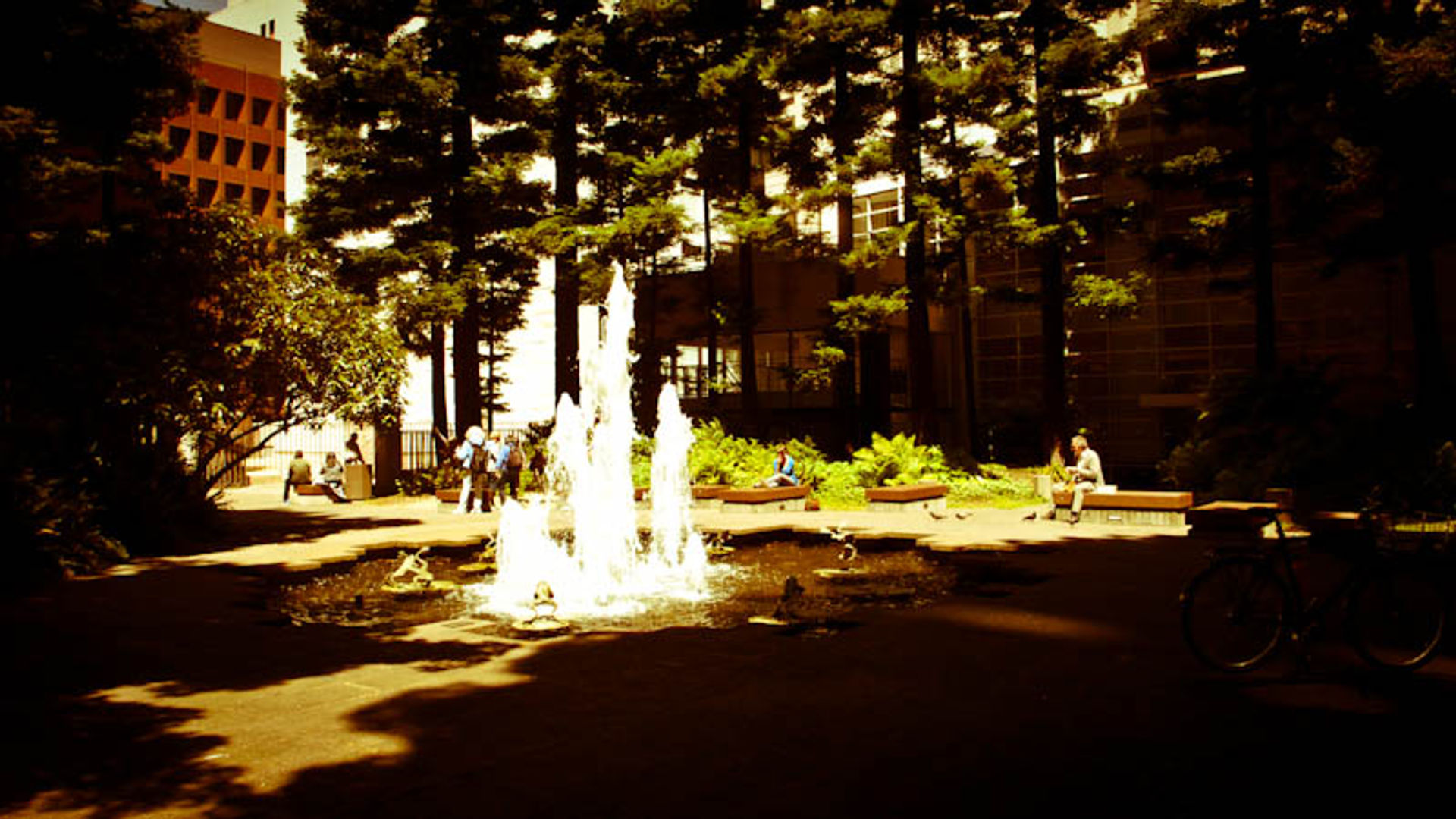 Fountain in the middle of the park