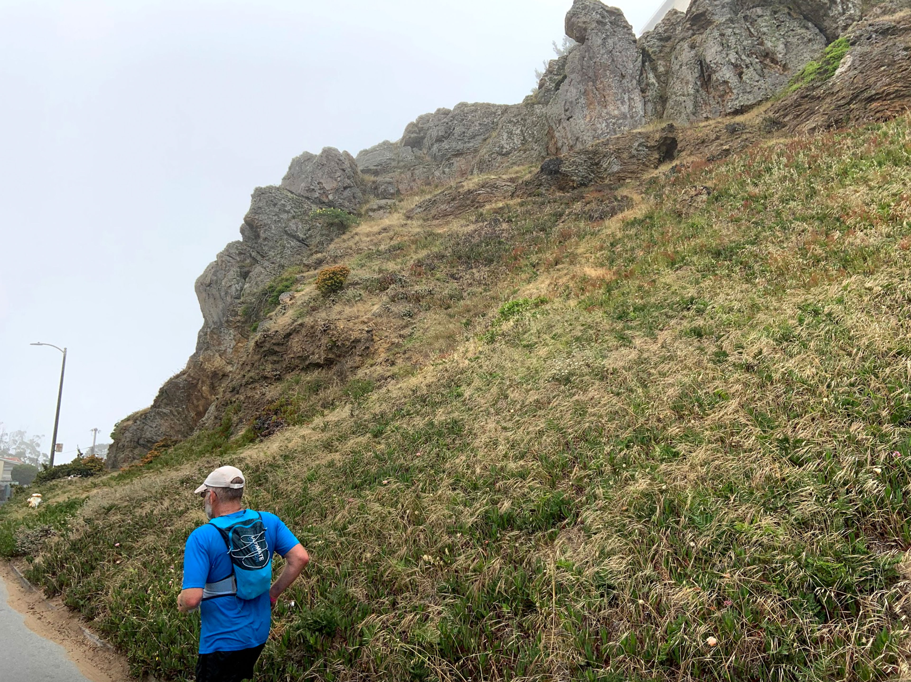 Rocky Outcrop Open Space, on Section 3 of Crosstown Trail. Chert outcrops, grass and iceplant above 14th Ave. 