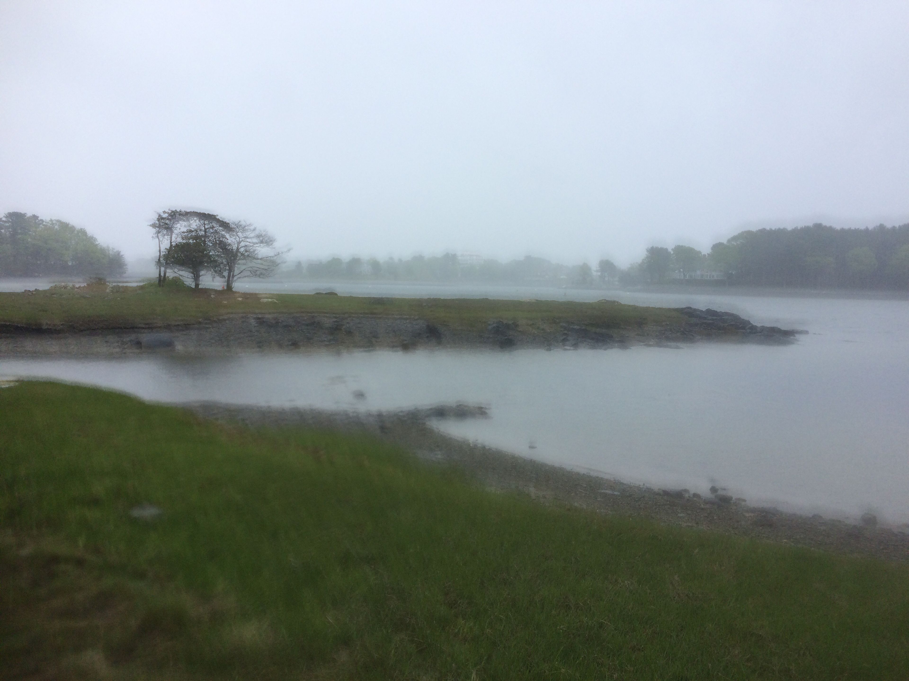 A view of Goose Island from Little Harbor Loop Trail.