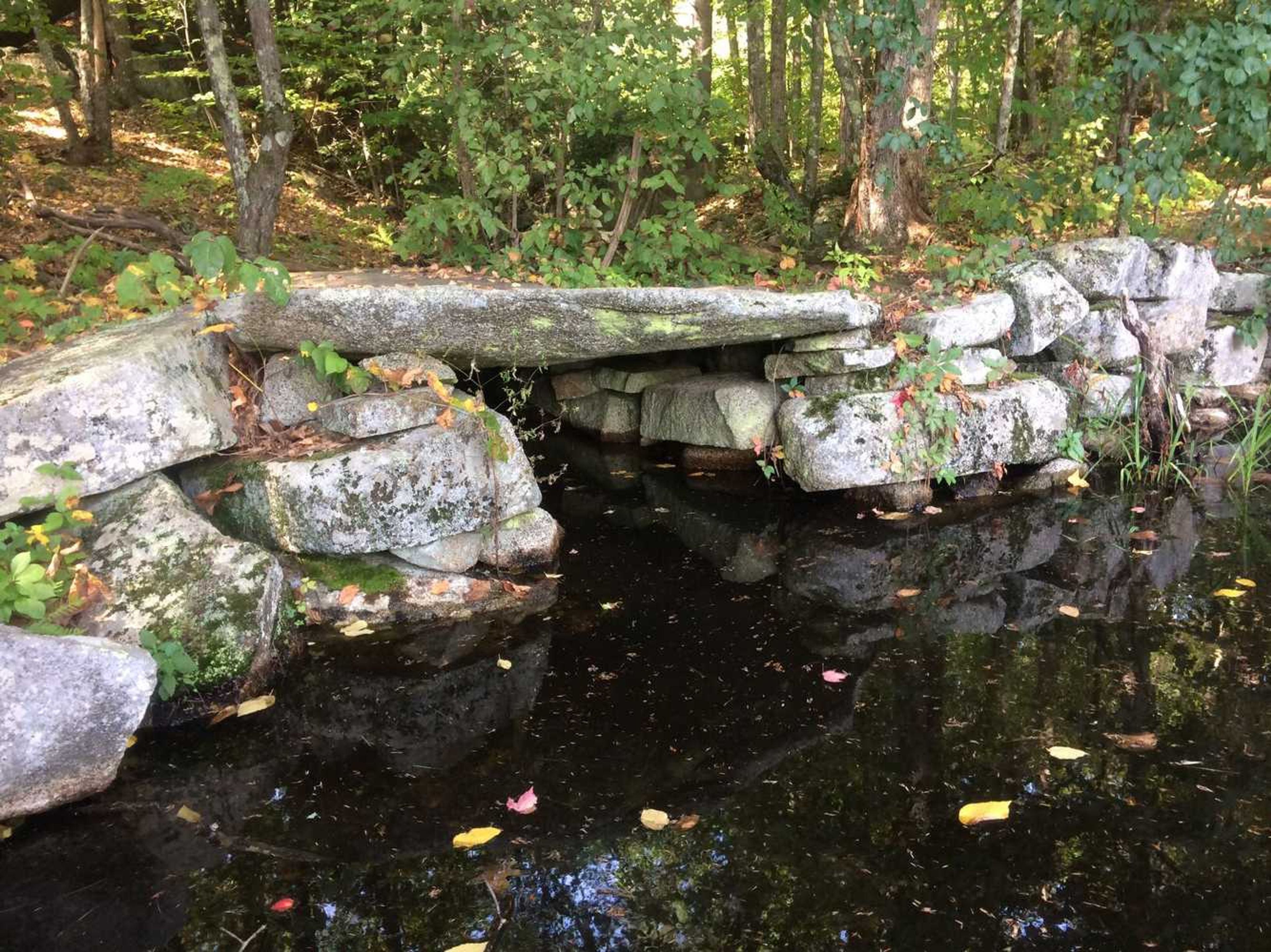 A rock wall surrounds the pond.