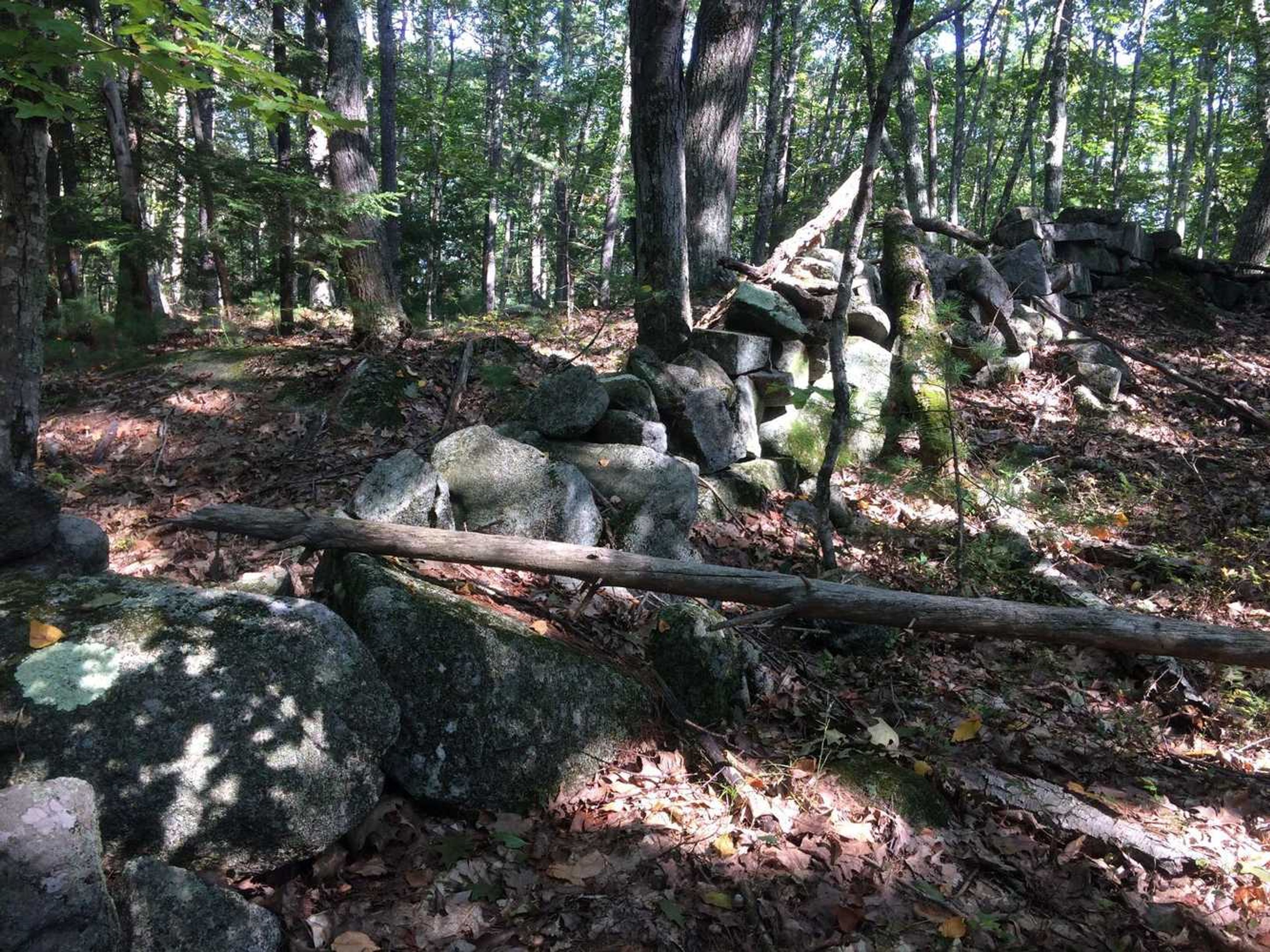 A stone wall in the woods.